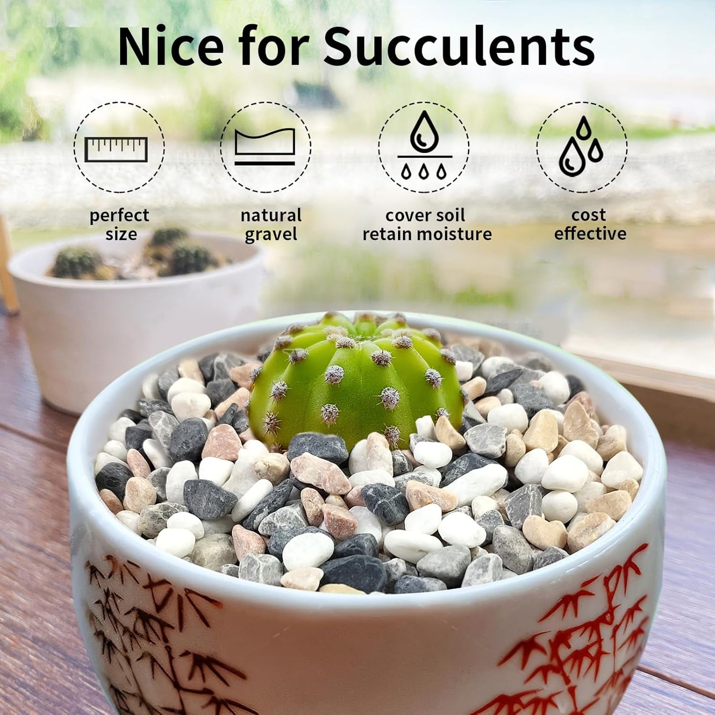 5 lbs Succulent and Cactus Pebbles for Indoor Plants, 3/8 Inch Pea Gravel Decorative River Rocks for Plants, Vases, Terrarium, Aquarium, Potted Top Dressing and Outdoor Landscaping Stones
