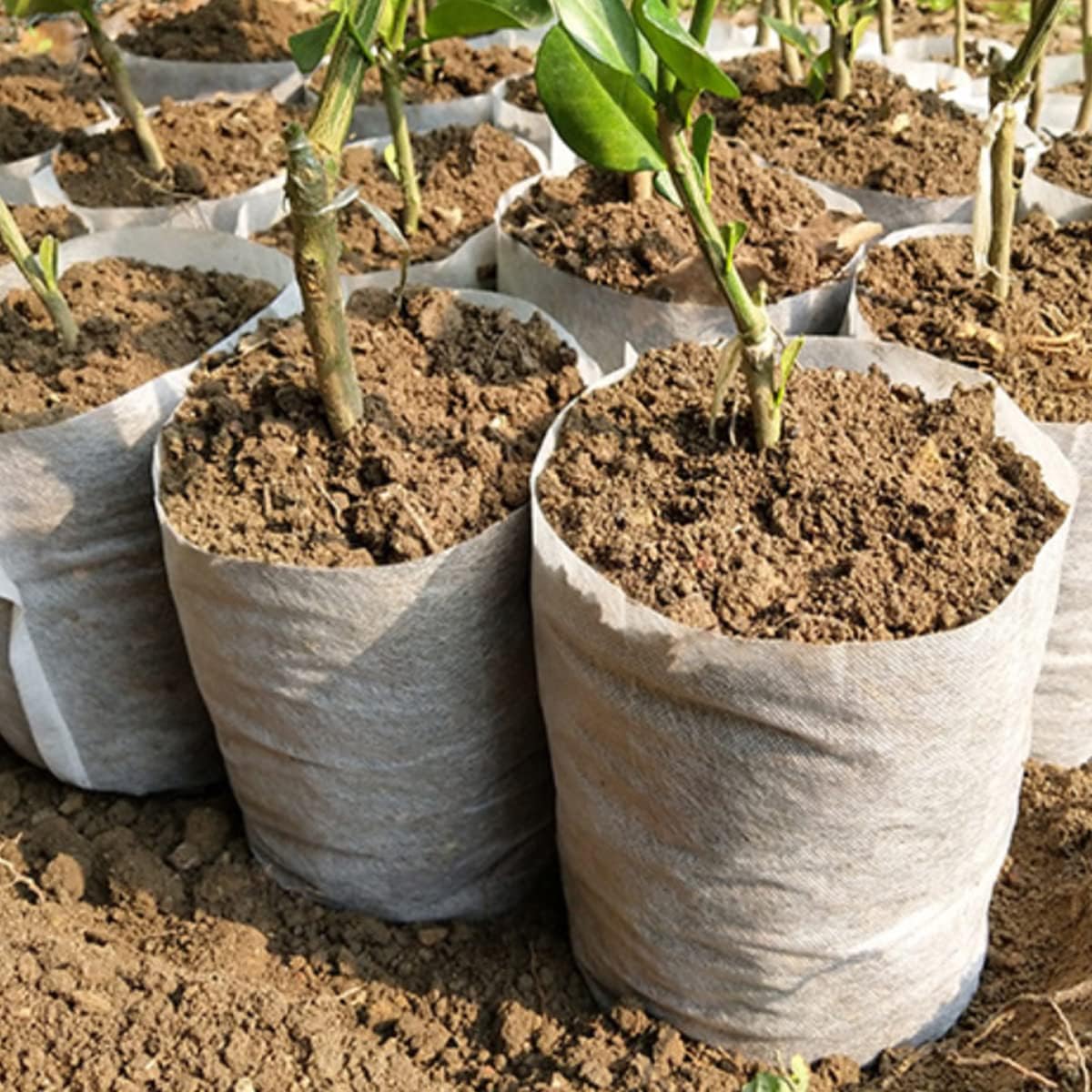 gardtree Plant Nursery Bags 7” x 7.87” 150PCS, Non-Woven Biodegradable Plant Grow Bags Fabric Seedling Starter Pots for Vegetable Flower Fruit Saplings Tree, Home Garden Supply