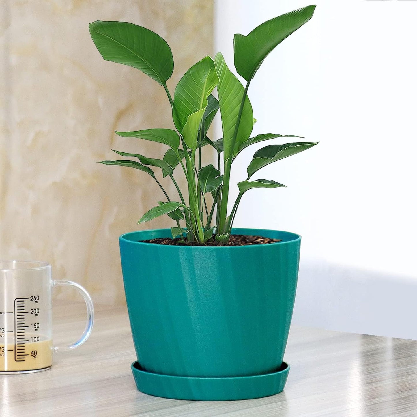 7 Inch Plant Pots Bulk, 6 Pack Plastic Planters with Drainage Holes and Saucers for Indoor Outdoor House Plants and Flowers, Green