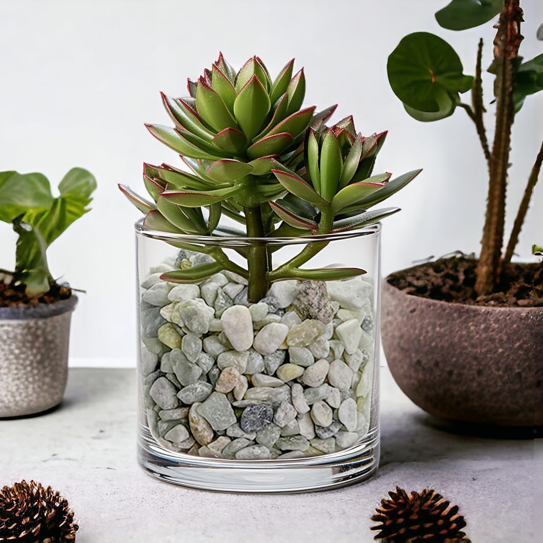 HappyFiller 18 Pound Small Rocks Decorative Tiny Pea Gravels for Aquarium Fish Tank Rocks,Indoor Outdoor Plants Catcus Succulent Top Dressing,Zen Garden,Vase Fillers,Light Green Mix,0.31-0.47"