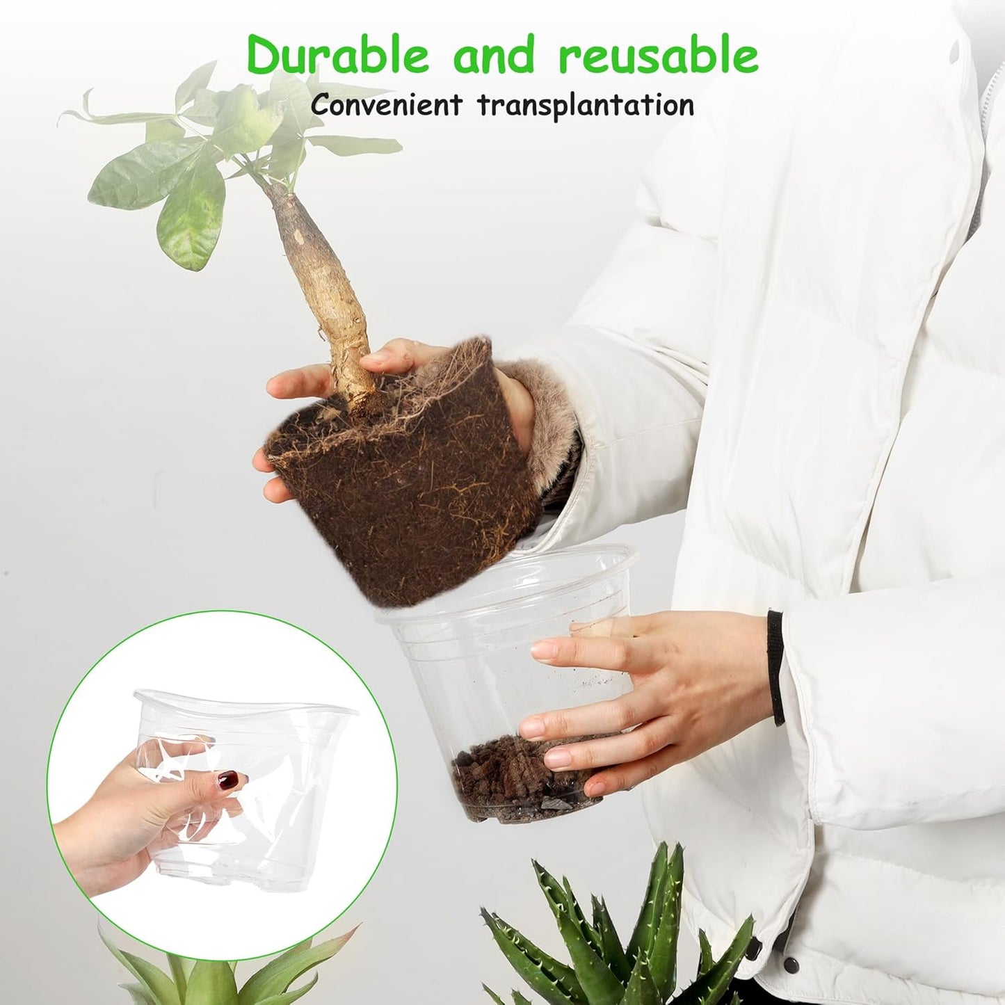 60 Pack 6 Inch Clear Nursery Pots with Drainage Holes, Transparent Plastic Plant Pots, Reinforced Seed Starter Garden Flower Pots, Comes with 50pcs Plant Labels