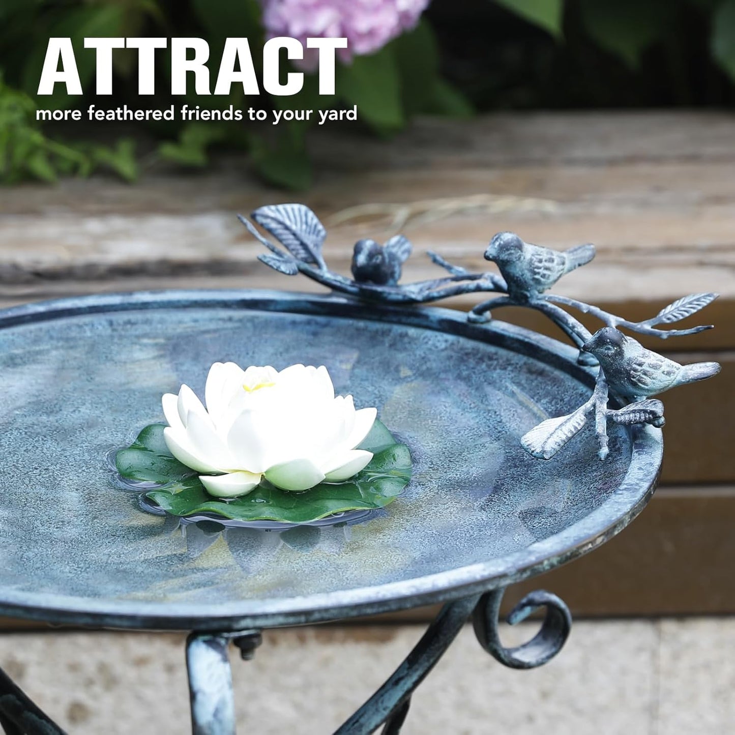 Solution4Patio 16.7" Metal Bird Bath with Perch - Rust-Resistant Outdoor Garden Decor, Shallow Wide Bowl & Foldable Stand for Birds/Plants