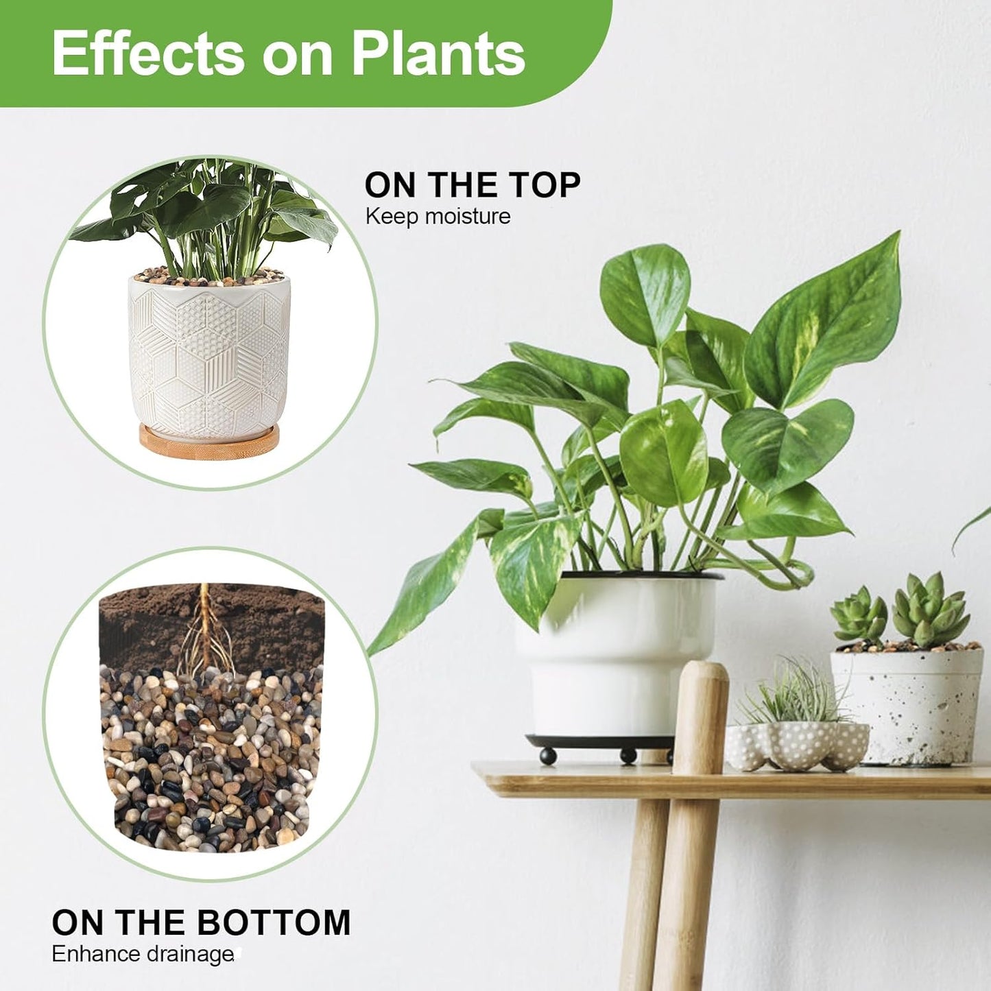 2.5 lbs Pebbles for Indoor Plants, Succulent, Bamboo, Vase, 3/8" Plant Rocks for Pots Indoor, Small River Rocks Decorative Pea Gravel, Highly Polished