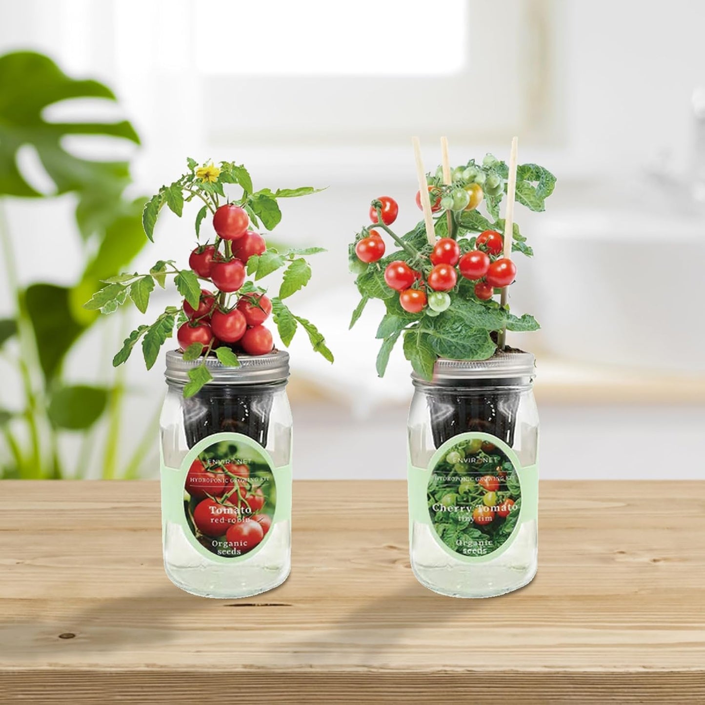 2-Pack Hydroponic Mason Jar Herb Garden Kit, Indoor Herb Garden Self-Watering Starter Kit (Cherry Tomato,Red Robin Tmato)