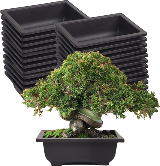KINJOEK 25 PCS 6.5 Inch Plastic Bonsai Training Pots, Rectangular Plant Bonsai Tree Pot, Starter Flower Succulent Growing Seedling Pot Container Planter for Garden Indoor Home Decorative