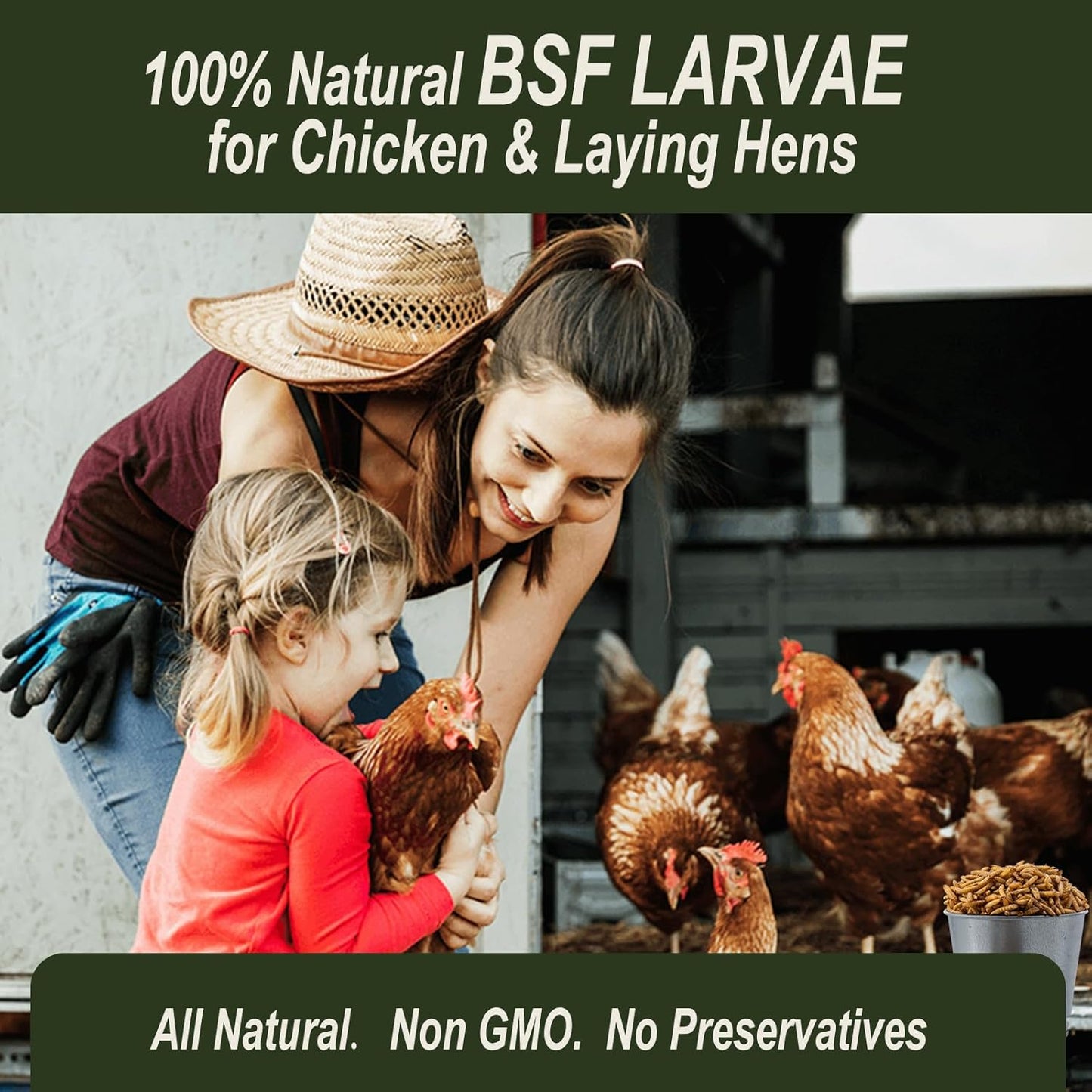 Adaman Dried Black Soldier Fly Larvae 10 LBS-100% Natural Non-GMO BSF Larvae-More Calcium Than Dried Mealworms High-Protein Chickens Treats, Food for Wild Birds, Ducks, Layer Hens