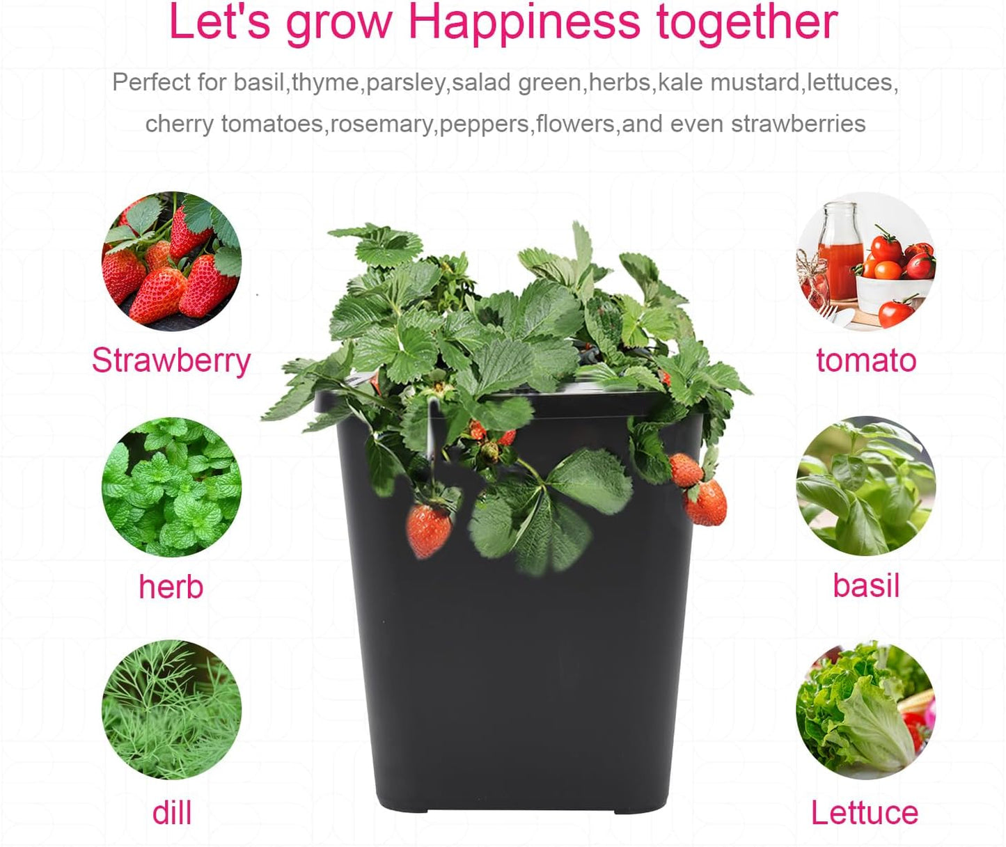 4 Hydroponic Buckets Kit for Plants, Hydroponics Growing System for Herbs/Tomato/Vegetables, DWC System with Air Pump & Germination Tray Black (Complete Indoor Hydroponic Gardening Supplies)