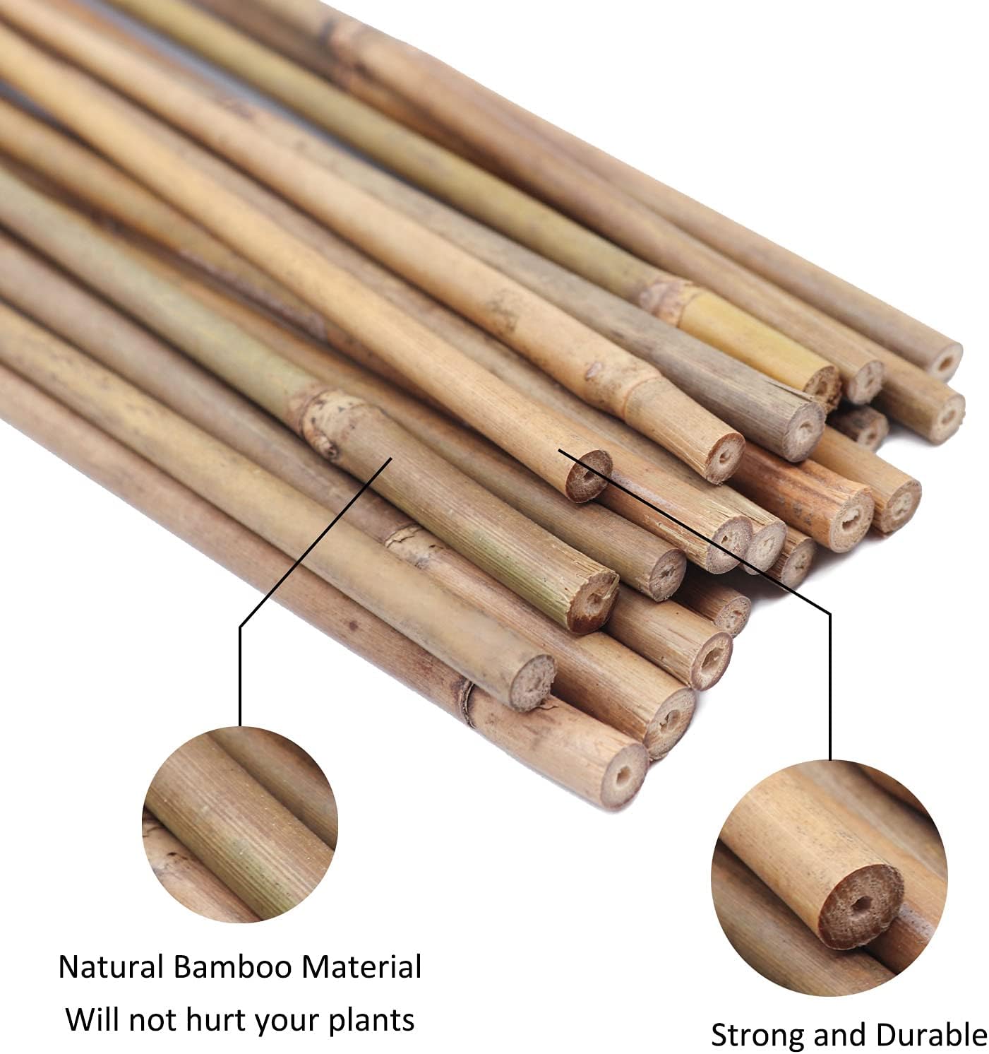 Plant Stakes Natural Garden Bamboo Sticks for Indoor and Outdoor Plants, GAGINANG 20pcs Plant Support Stakes for Tomatoes, Beans, Potted Plants - 16 inches