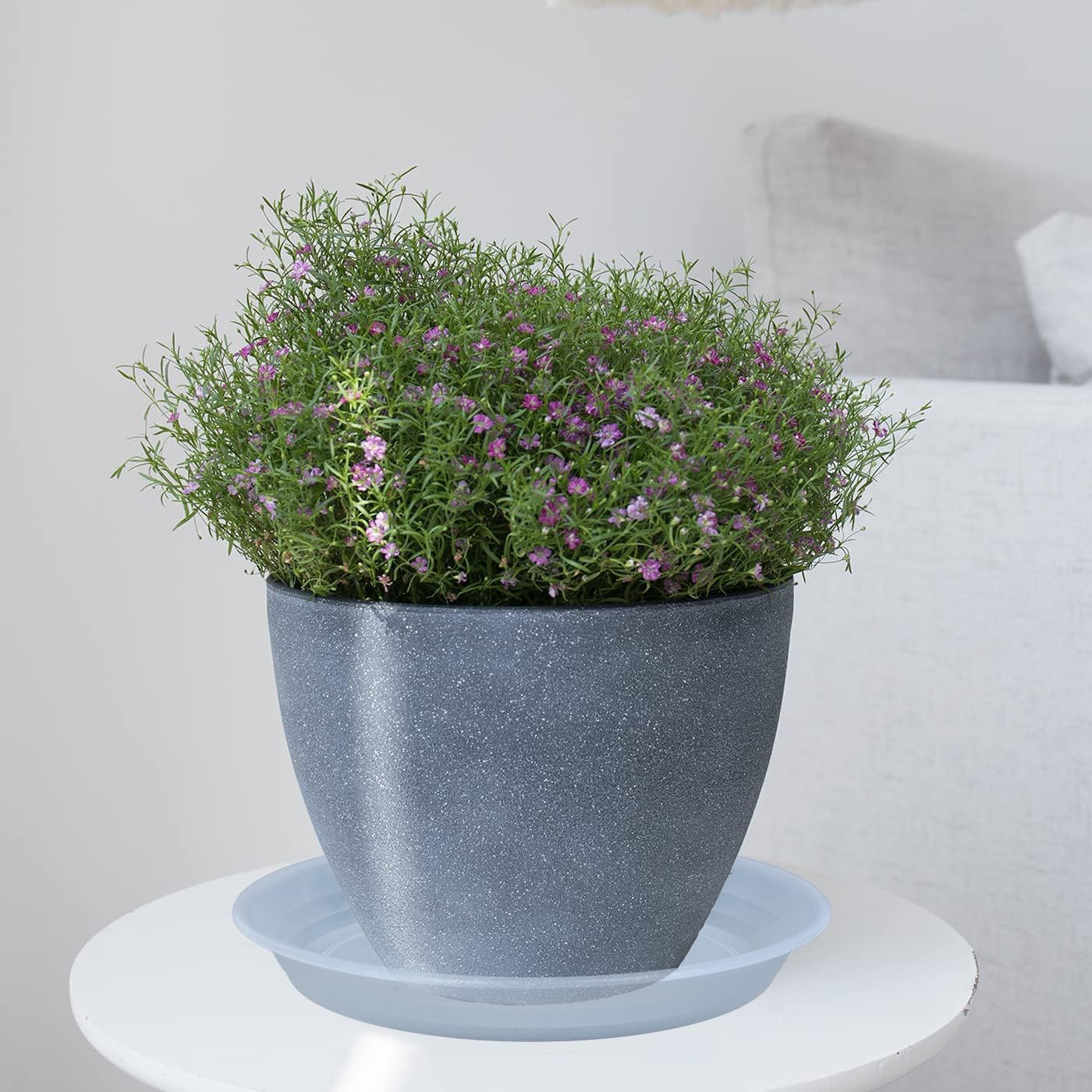 2 Pack Clear Plant Saucer Drip Tray 11 12 inch, Pot Base for Plants Indoor, Plastic Flower Planter Saucers and Drip Trays for, Heavy Durable Plant Plate Water Catcher (12", Clear)