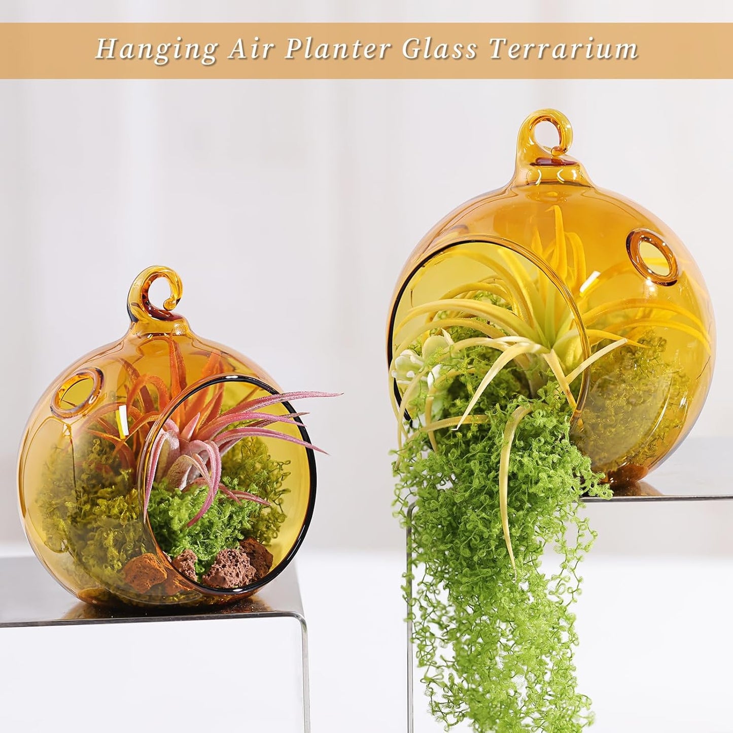 LETINE Assorted Amber Glass Orb Set (12pcs) with 2.17" & 1.93" Spheres - Versatile Tea Light Candle Holders & Air Plant Holders for Boho Wedding Decor