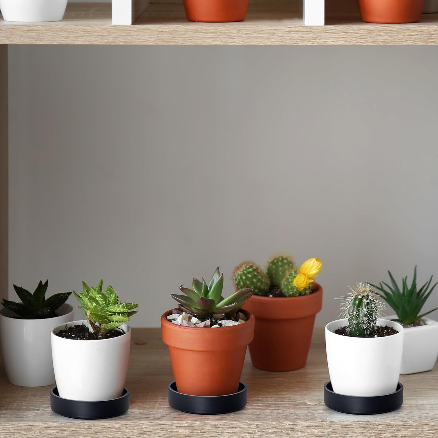 Phoenix Vine 4 Inch Plastic Plant Saucer Water Drip Tray, Heavy Sturdy Round Plant Drainage Tray for Indoors Outdoor, Matte Black, 21-TY-4B-1