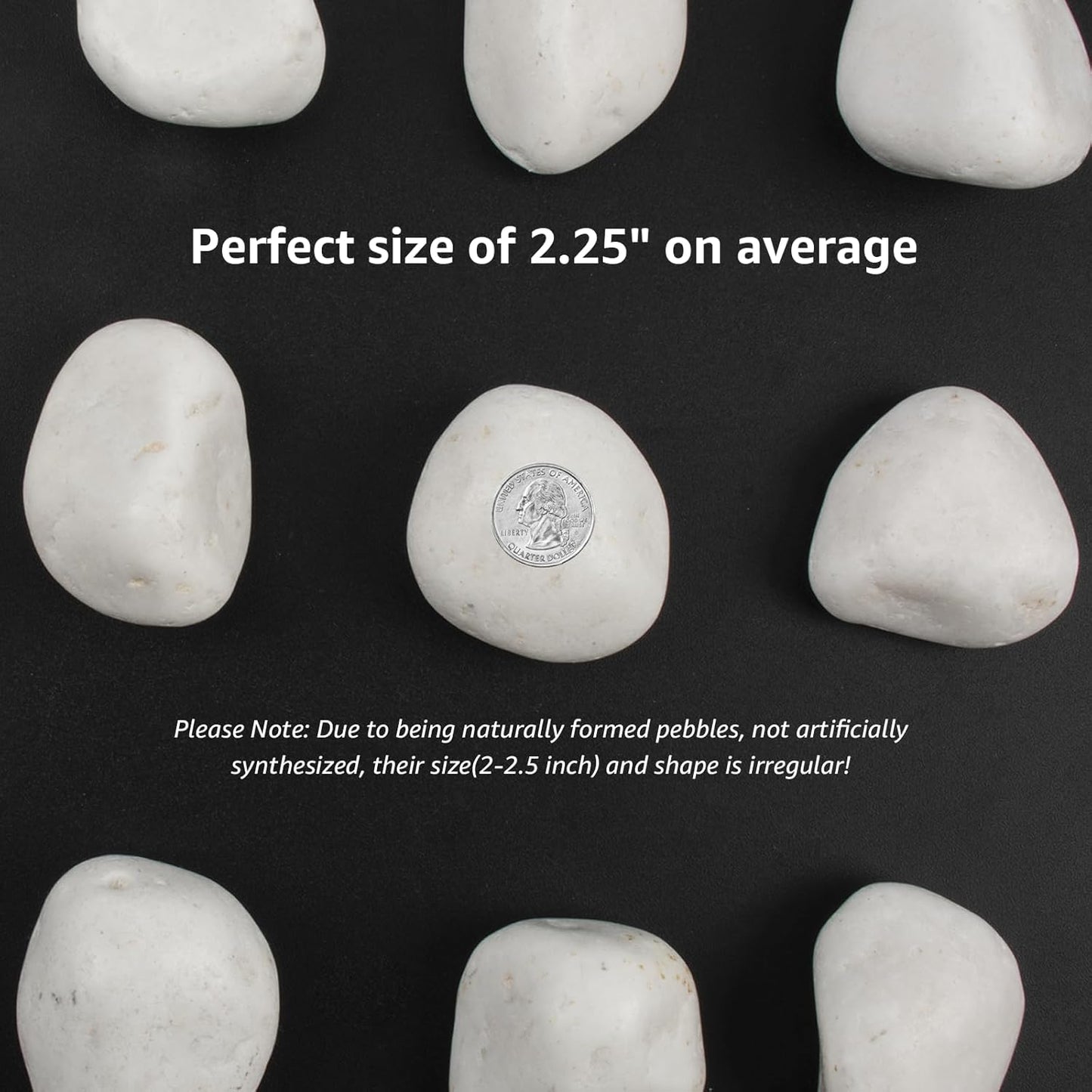 10lbs White Natural River Rocks, Polished Pebbles for Plants Garden, 2-3 inch Decorative White Stones, Ideal for Fish Tank, Vases, Crafting, Home Decor and Garden Landscaping Rocks