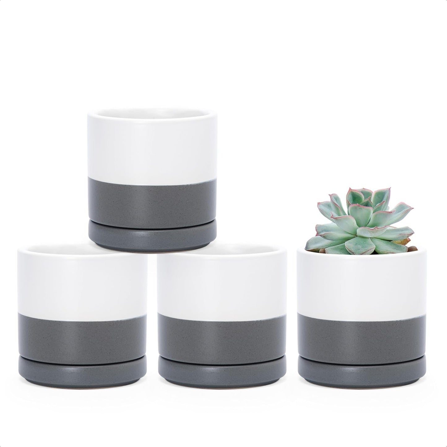 D'vine Dev Set of 4 Small Ceramic Plant Pots, 3.5 Inch Succulent Planter Pot for Plants with Drainage Hole and Saucer, White/Speckled Grey, 94-X-A-6