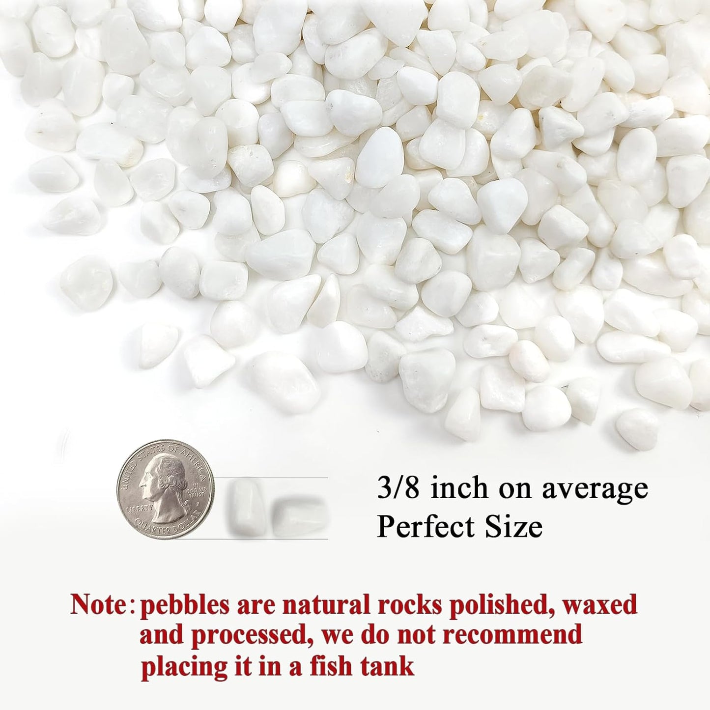 2 Pounds White Pebbles for Indoor Plants, 3/8 Inch Polished White Rocks, Decorative River Rocks for Potted Plants Vase Cactus Bird Bath and Outdoor Garden Landscaping