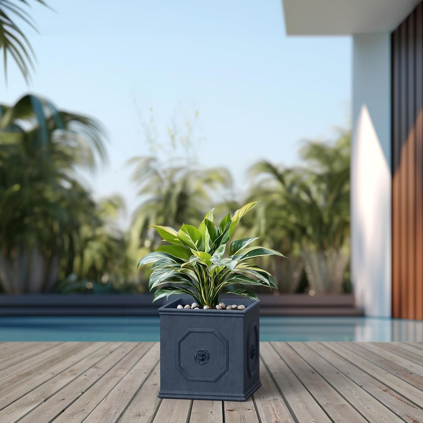 Kante Square Lion Head Concrete Planter, Classic English Style Plant Pot with Drainage Hole and Rubber Plug for Indoor Outdoor Garden Patio Home, 10.2"x10.2"x 10.2",Gravel Gray