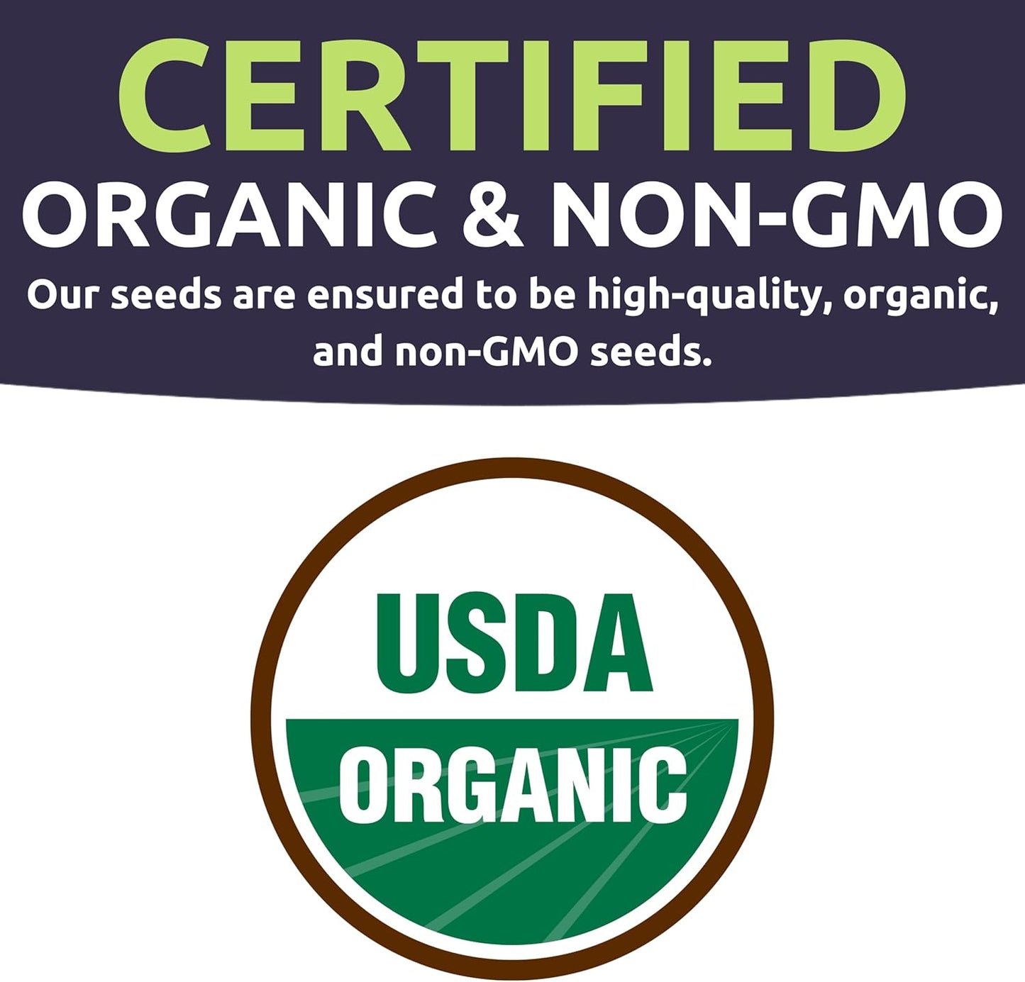 Organic Herb Seeds Variety Pack - 10 Individual Packs - 2025 Season - Basil, Cilantro, Dill, Thyme, Parsley and More! for Indoor & Outdoor Planting (Non-GMO, Certified Organic)