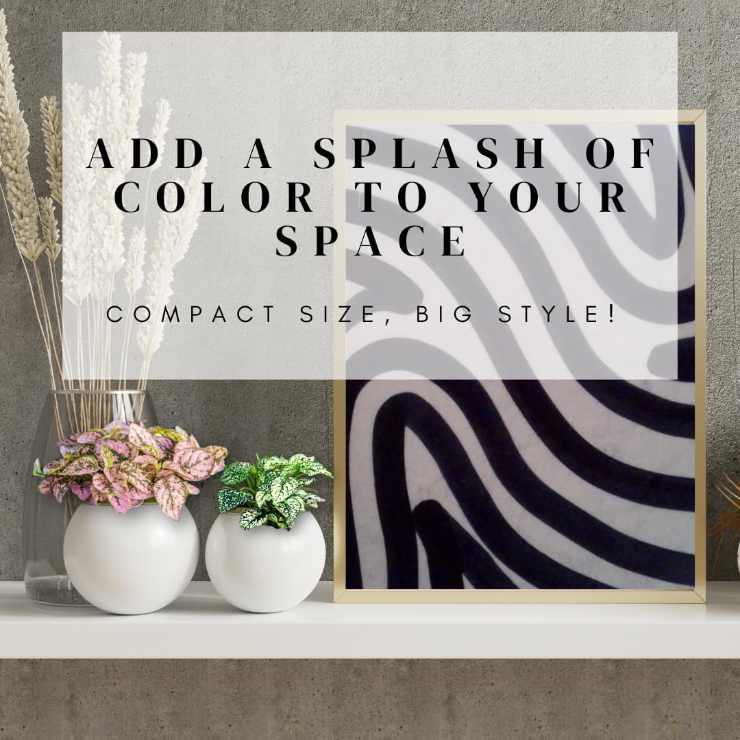 Polka Dot Plant (4-Pack) - Live Houseplants, Small Indoor Plants, Hypoestes White- Colorful, Air-Purifying House Plants