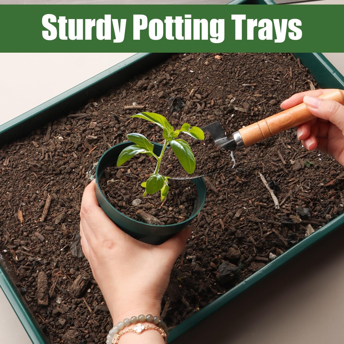 5 Pack Seed Starter Trays (17"x11"x2"), Plastic Flat Nursery Pots Trays, Durable Carrying Seedling Starter Tray, Reusable Tray for Planting and Collecting Drainage Water (Green)