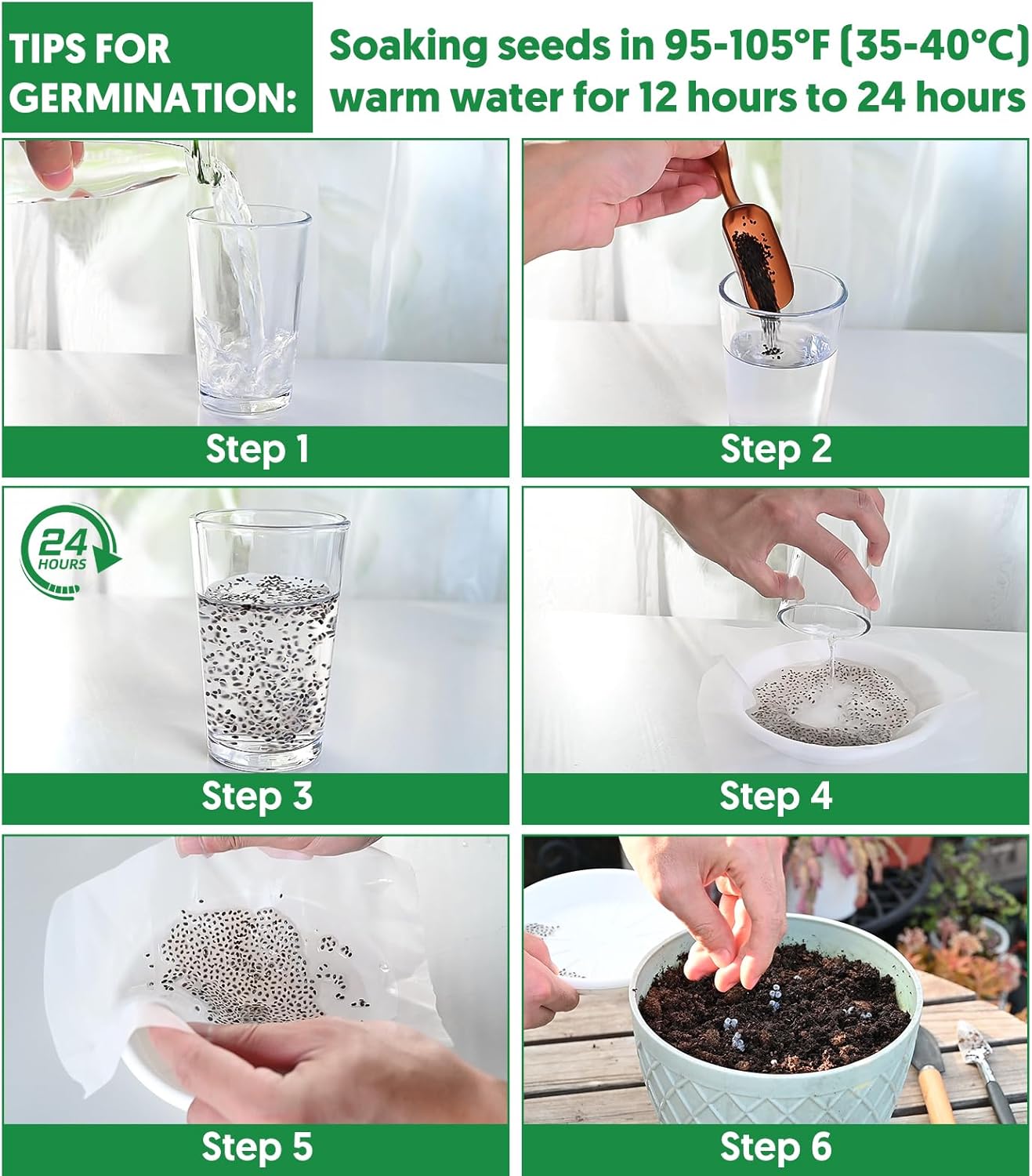 18 Varieties Herb & Vegetable Seeds for Hydroponic, 13000+ Seeds for Indoor Outdoor Garden Planting Home Veggie Herb, Heirloom Non-GMO Culinary Collection Gift Pack