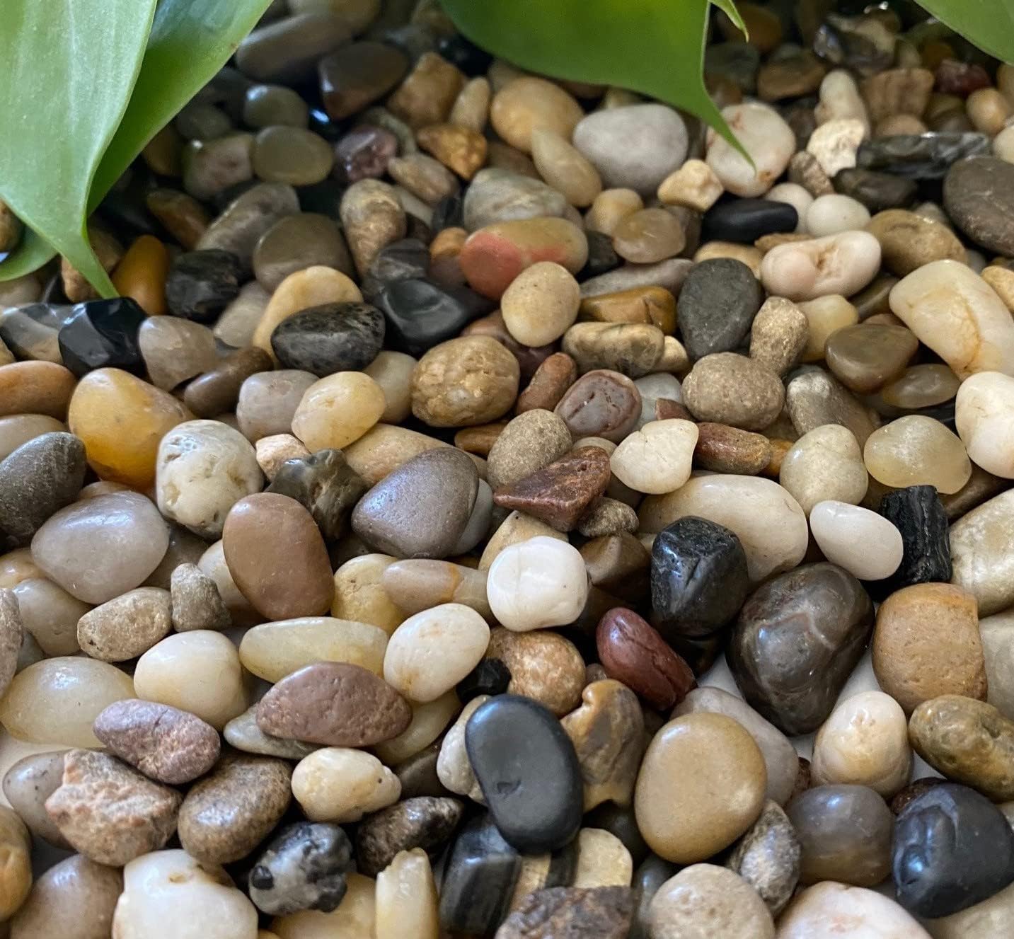 Rocks for Plants. Mixed Colors Decorative Polished Pebbles. 3/8 Inch – 10 lbs for Plants, Garden, Landscaping, Succulents, pots, Plants (XSM (0.375 Inch), Mixed Color - Polished, 10)