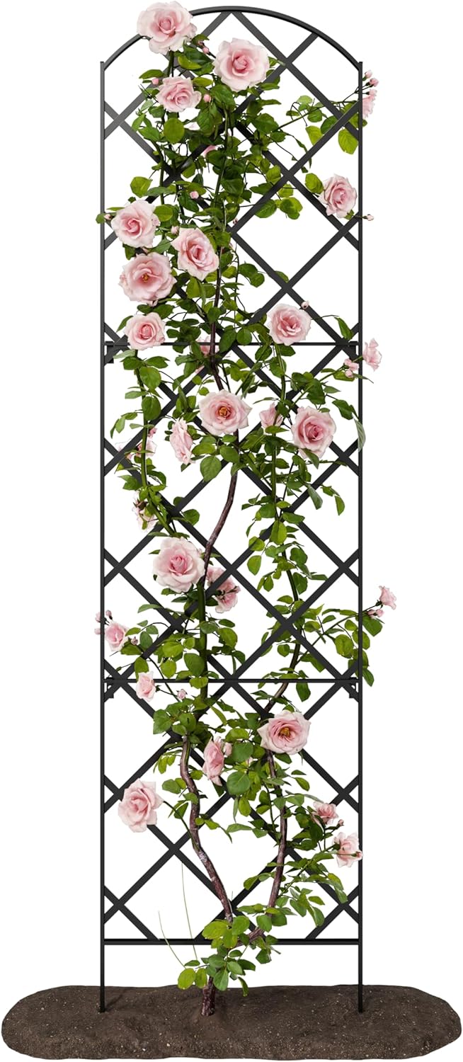 Giant Trellis, 108” high (9’ Tall) by 28” Wide Trellis with Arched top - by Meranti Home + Garden