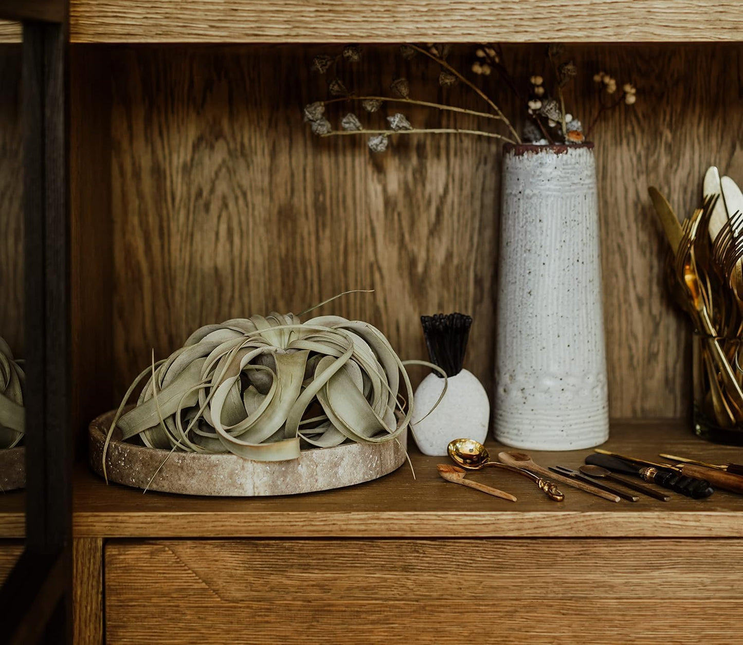 Air Plants - Tillandsia Xerographica, Large 5-7” - 10ct - Live Arrival Gauranteed - House Plants for Home Decor & Gift