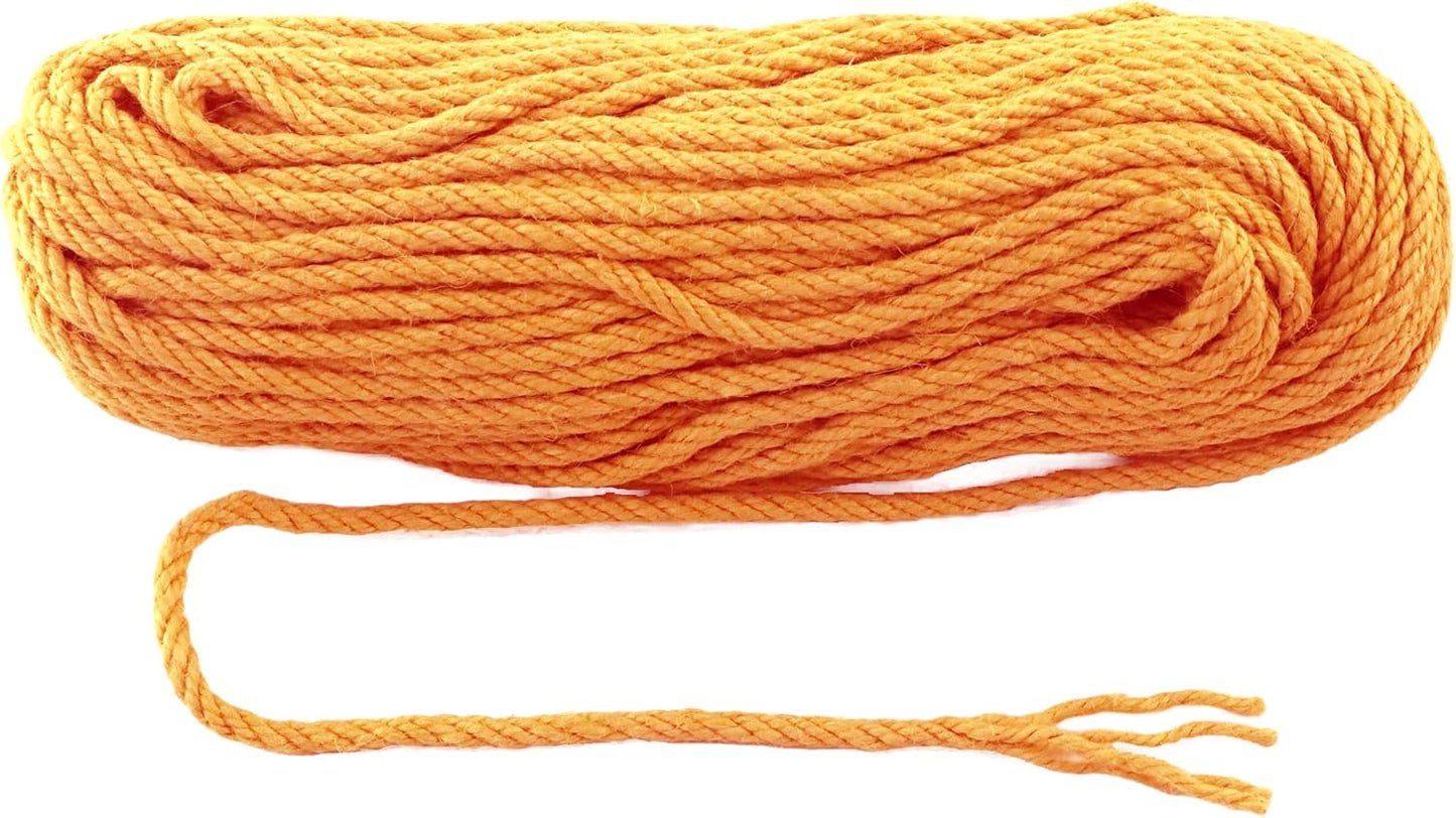 6mm x 100 Feet Orange Jute Rope, Twine for Gardening Tomato Climbing Plant Tie Floristry Crafts Gift Wrapping Packing Decor
