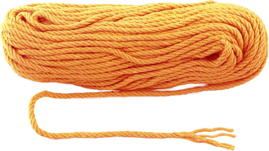 6mm x 200 Feet Orange Jute Rope, Twine for Gardening Tomato Climbing Plant Tie Floristry Crafts Gift Wrapping Packing Decor