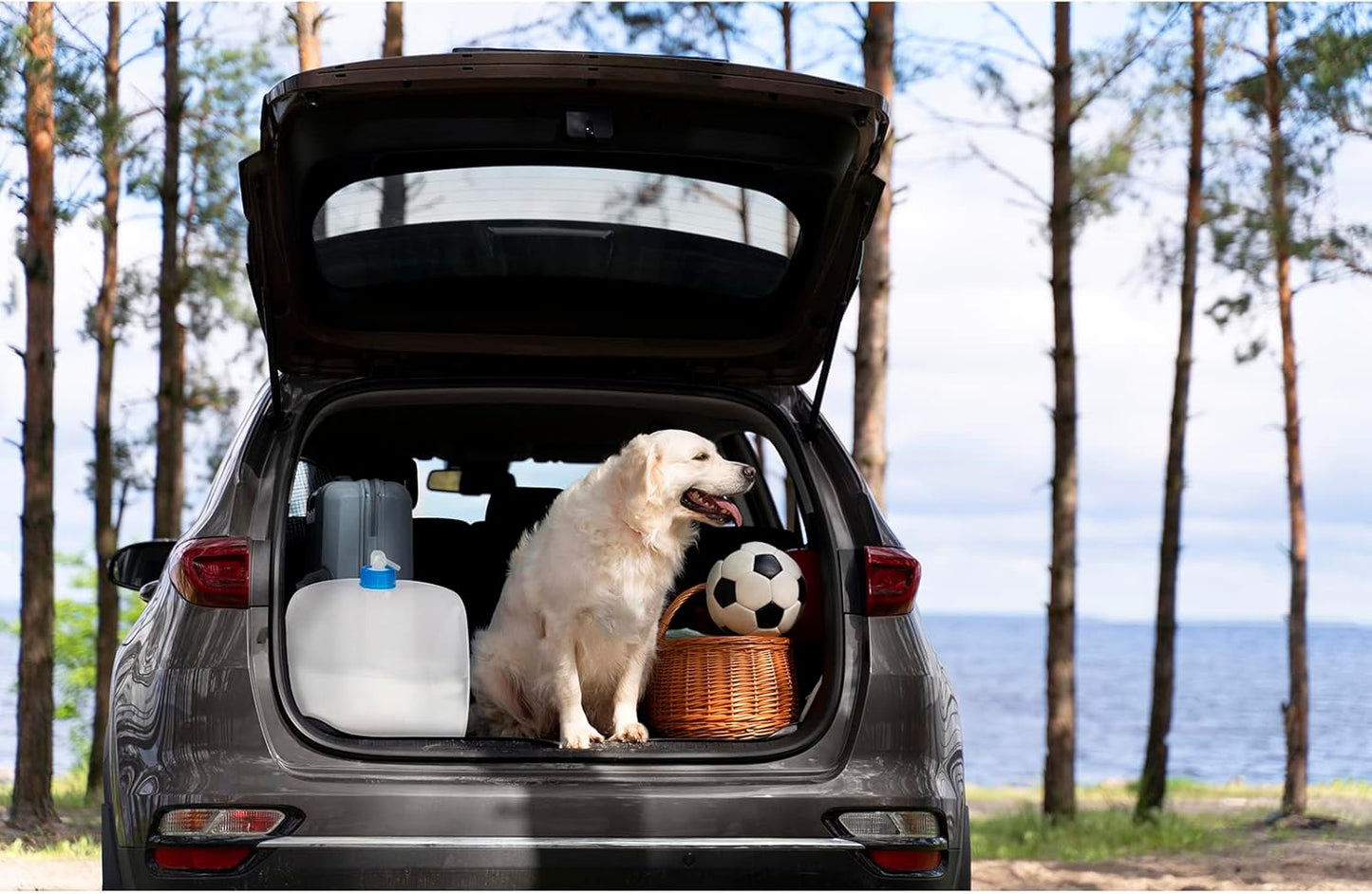 Collapsible Water Container Jug, 4×5.3 Gallon BPA Free Camping Water Storage Canteen with Spigot, for Hiking Backpack RV Outdoors & Emergency, Portable Survival Kit - Food Grade Transparent PE