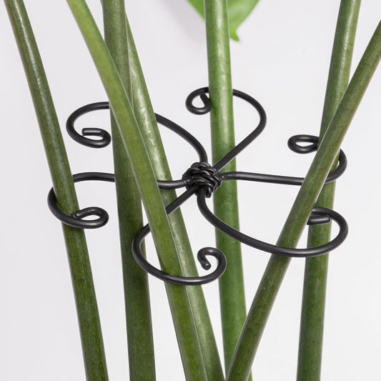 Monstera Plant Support Hook - 4.1x4.1IN 5PCS, Durable Adjustable Stem Support System, Gentle Protection for Monstera and Fishbone Cactus, Professional Indoor Plant Stabilizer