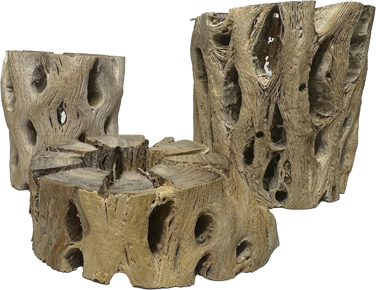 3 Natural Cholla Wood Air Plant Display Holders Tiered 1, 2 & 3 inch Individually Unique Round Decorative Stands
