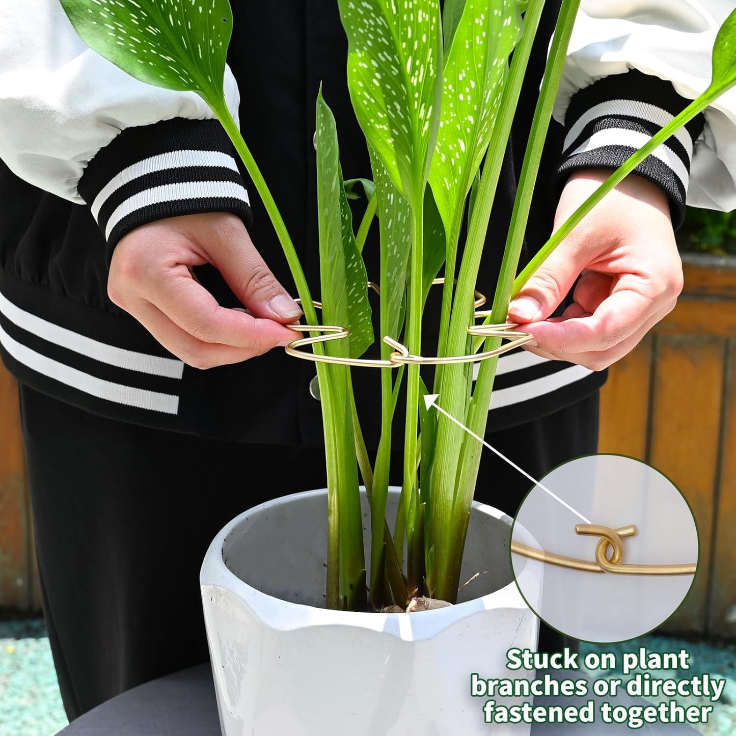 5.5 * 4.7IN Monstera Stem Support Stake with Clips - 5Pcs Durable Climbing Plant Support for Monstera, Fishbone Cactus, Easy Installation, for Plant Lovers