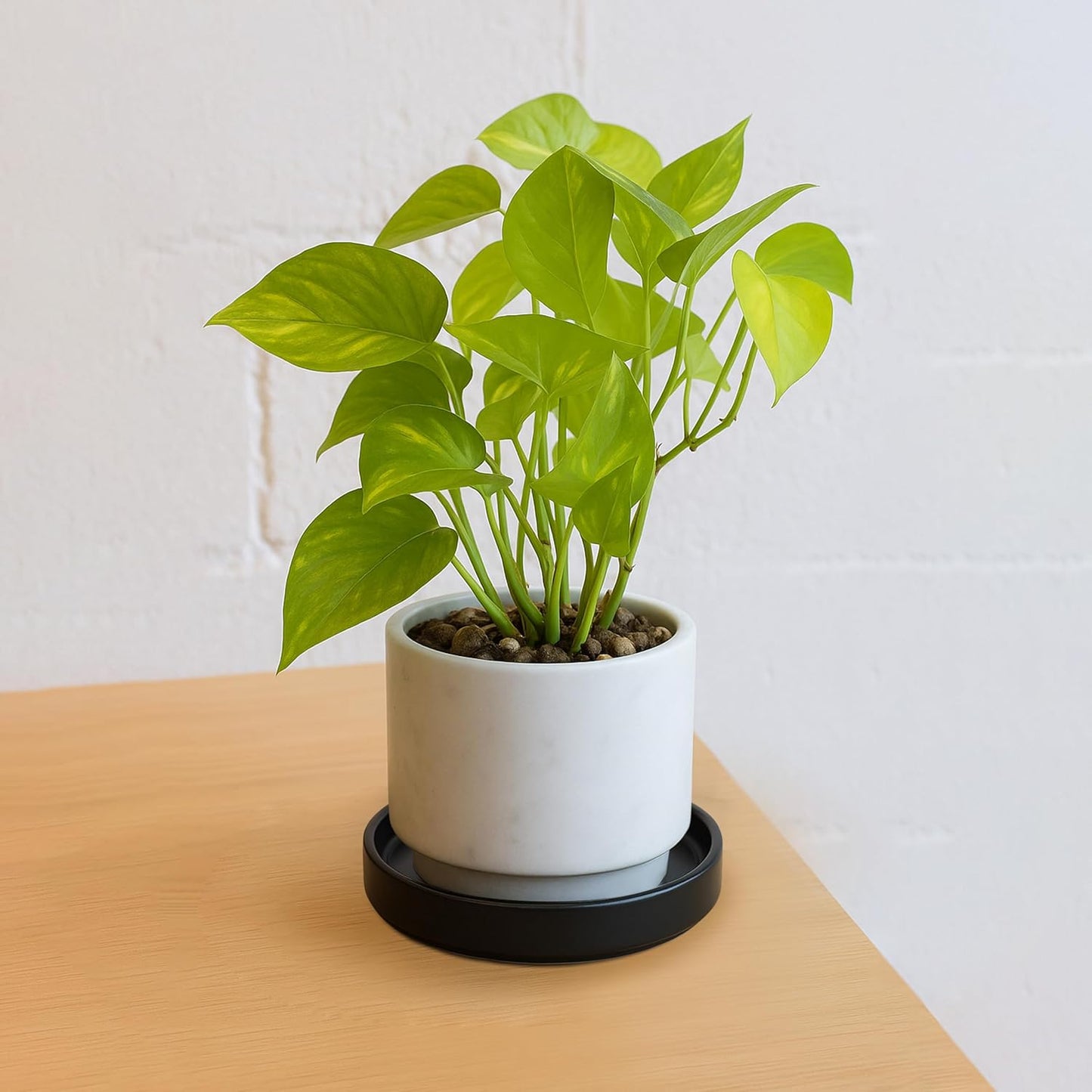 D'vine Dev Modern Round 5.4 Inch Ceramic Plant Pot Saucer, Planter Pot Drainage Tray for Indoor Plants, Matte Black, 97-T-B-2