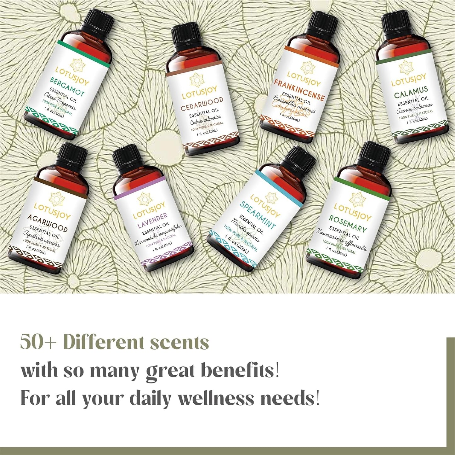 Camphor Oil, Pure Natural Camphor Essential Oil for Diffuser, Room Spray, Household, DIY - 1 Oz