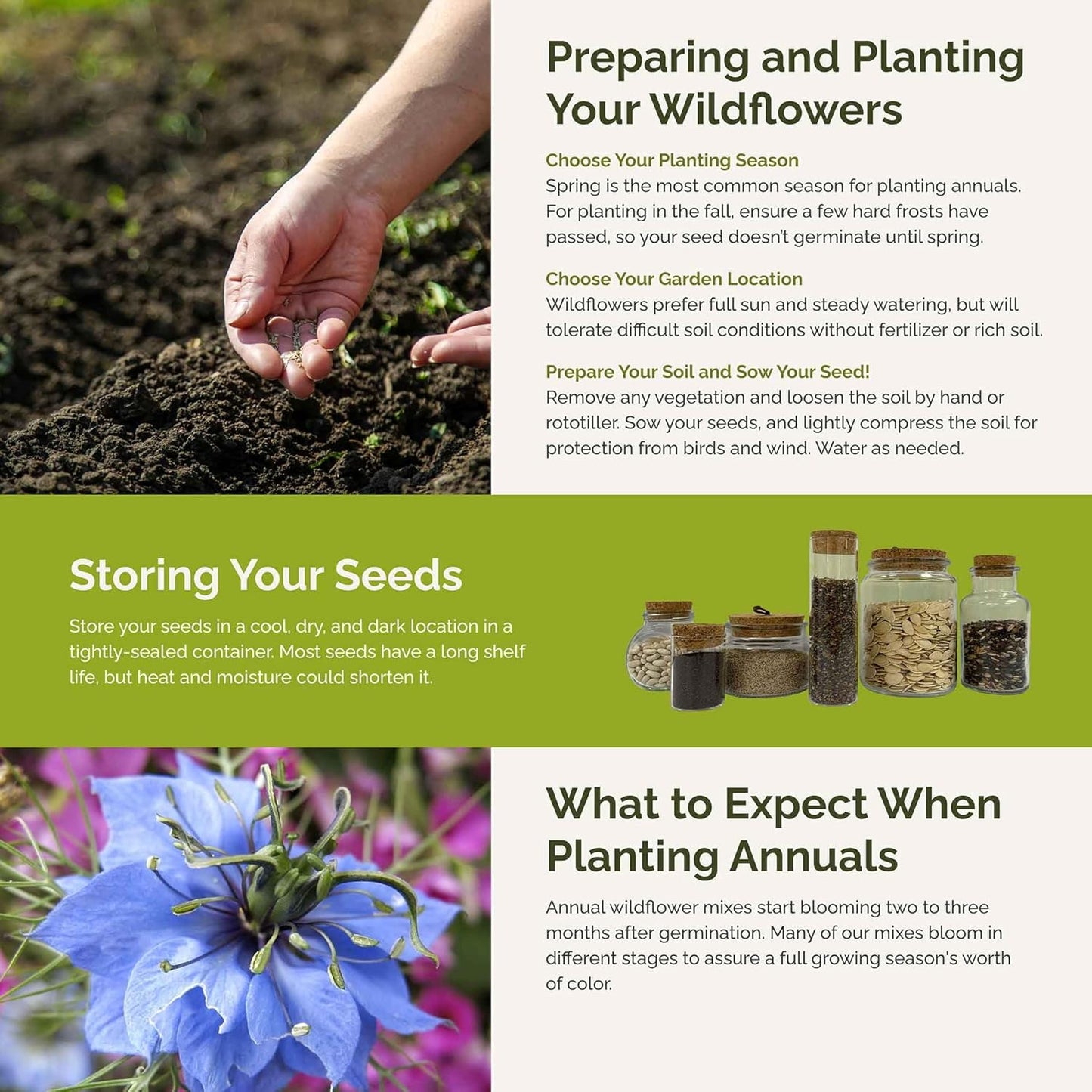 Eden Brothers Country Garden Flower Mixed Seeds for Planting, 1 lb, 480,000+ Seeds with Scarlet Flax, Cosmos Sensation | Attracts Pollinators, Plant in Spring or Fall, Zones 3, 4, 5, 6, 7, 8, 9, 10