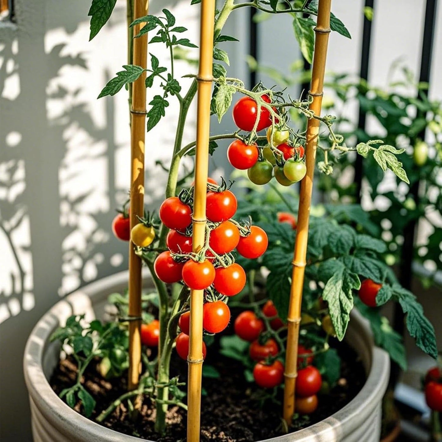 Plant Stakes, 4.8 FT Natural Bamboo Garden Stakes, 20Pcs Plant Stakes,Bamboo Sticks for Tomato,Beans,Vegetable and Climbing Plants