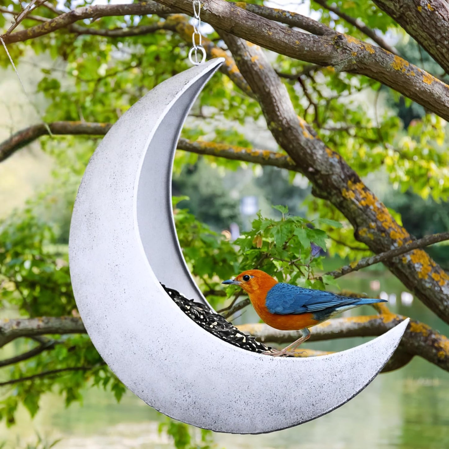 Hanging Moon Bird Feeder – Unique Metal Bird Feeders for Outdoors, Rustic White, Rust-Resistant, Drain Holes – Wild Bird Feeder for Bluebirds, Cardinals, Finches, and Backyard Birdwatching