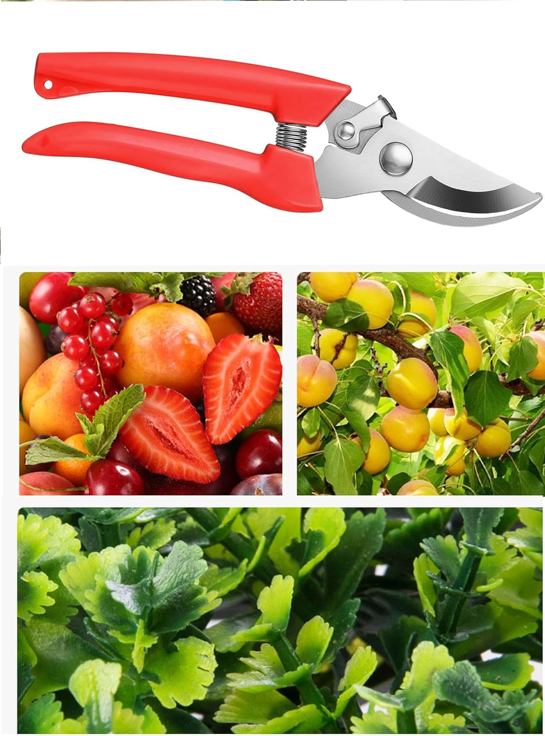 Garden Flower Shears Pruning Shears 6.9 inches Scissors Heavy Duty Plant Scissors for Cutting Flowers, Trimming Plants, Bonsai, Fruits Picking (Red Handle)