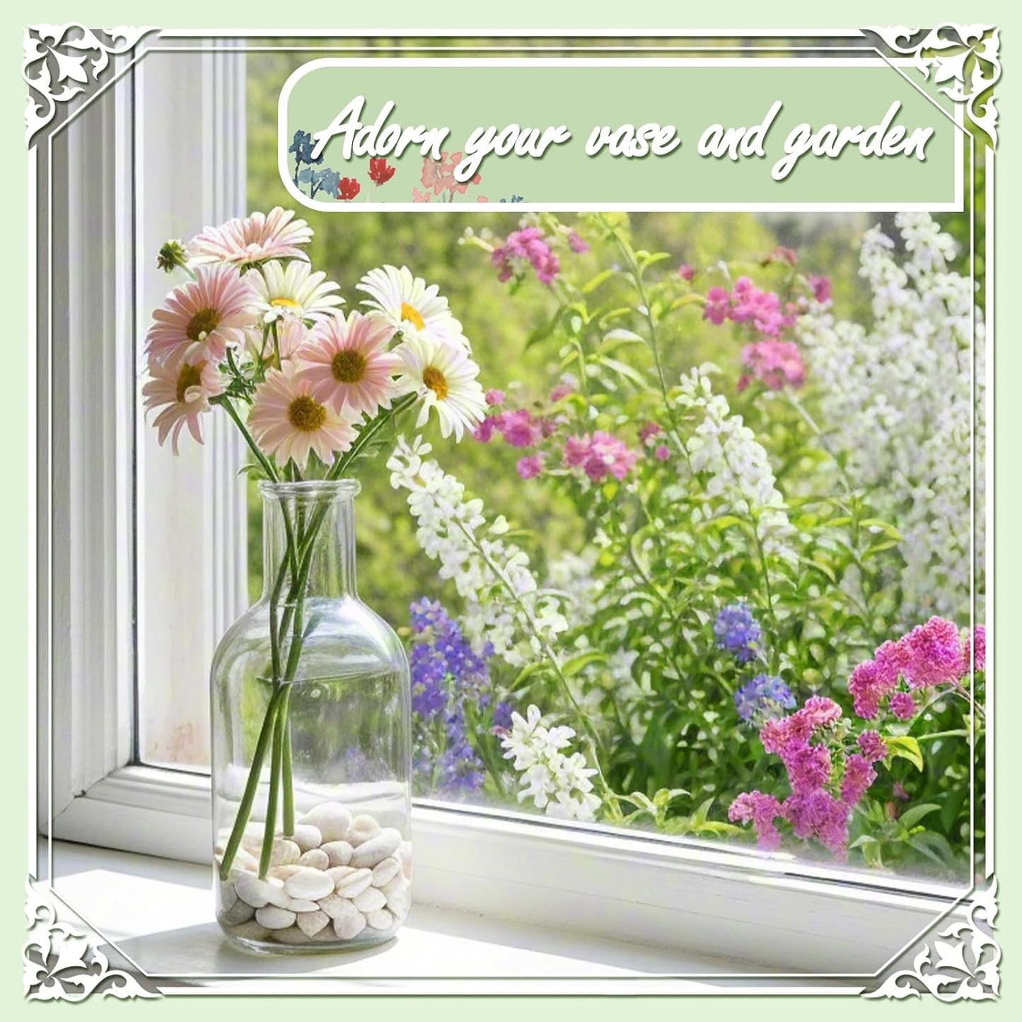 11lbs White Natural River Rocks, Polished Pebbles for Plants Garden, 1-2 inch Decorative White Stones, Ideal for Fish Tank, Vases, Crafting, Home Decor and Garden Landscaping Rocks,White