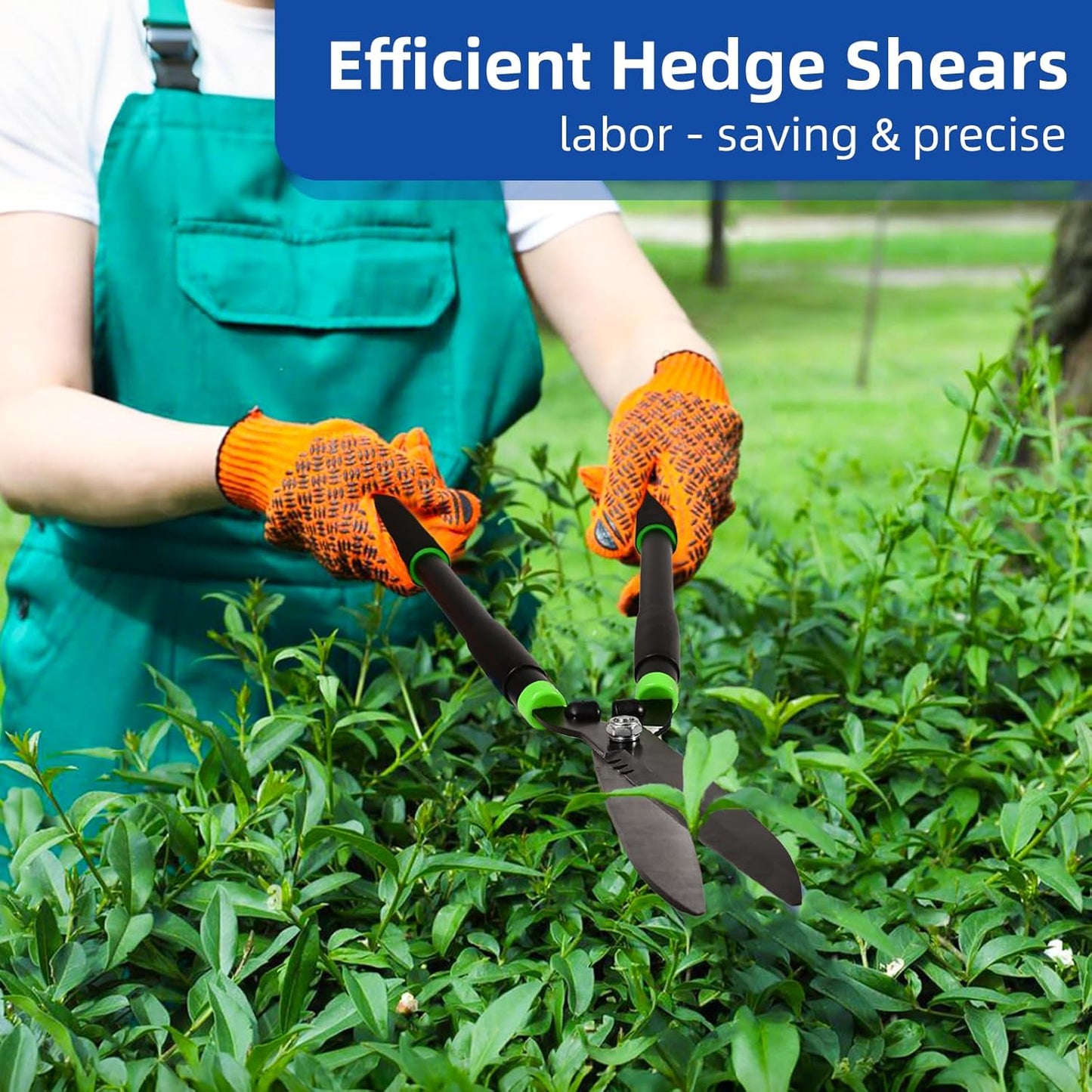 Hedge Shears Heavy Duty Hedge Clippers with Shock Absorbing Bumpers Ideal Hedge Clippers for Gardening Pruning Shaping Shrubs and Decorative Plants Garden Hedge Shears for Effortless Trimming