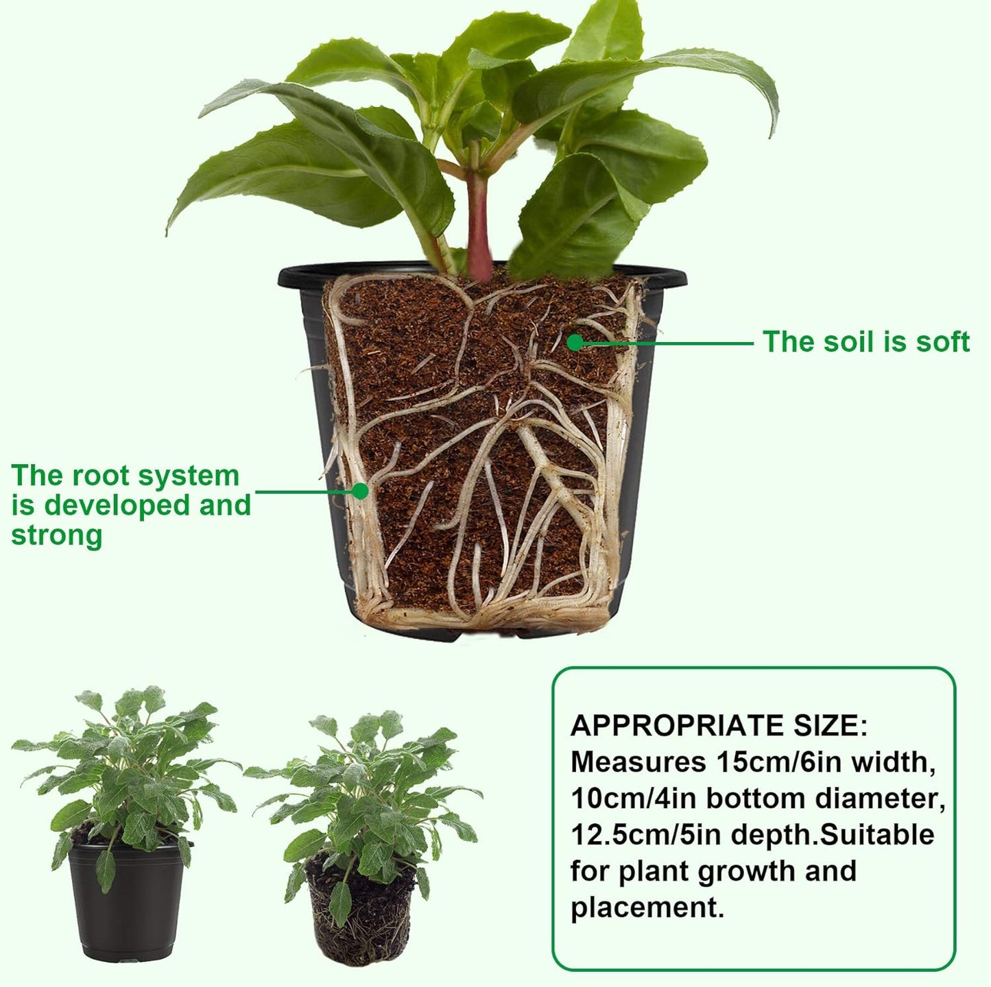 Augshy 110 Pcs 0.5 Gallon Black Plastic Plant Nursery Pots 6 Inches Seed Starting Pots Containers with 110 Labels