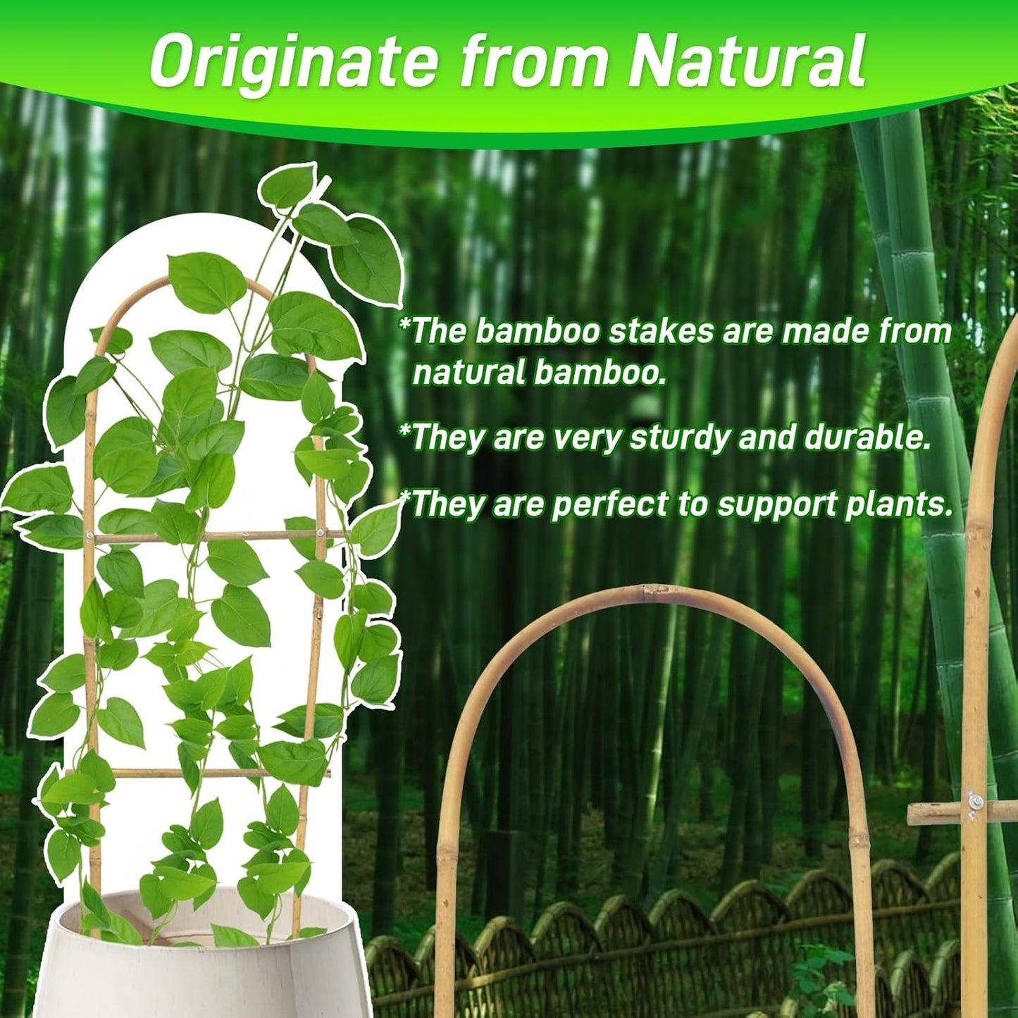 10 Pack 2ft U-Shape Bamboo Trellis for Climbing Plants, Natural Garden Trellis for Tomatoes, Cucumbers, Potted Plants, Vegetables Indoor Outdoor