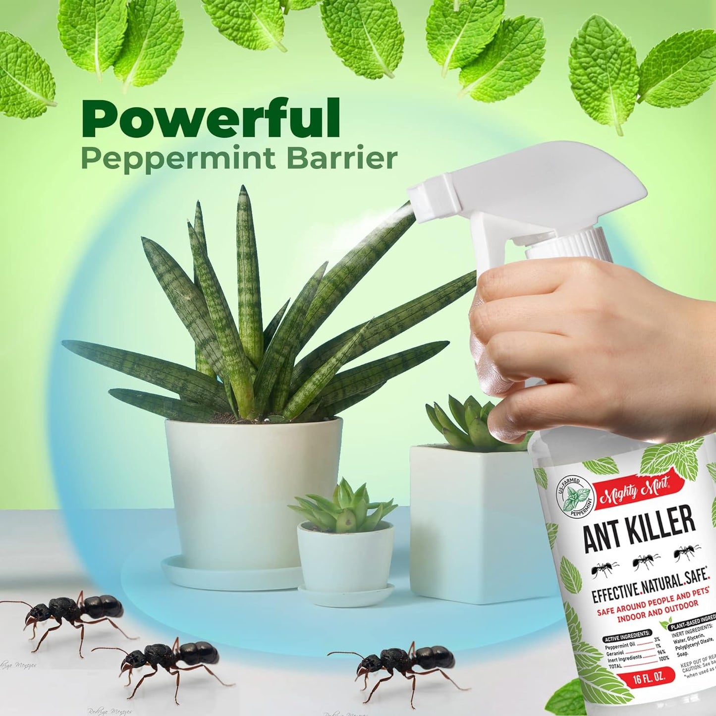 Mighty Mint Peppermint Oil Ant Killer Spray – Natural Ant Repellent for Indoor & Outdoor Use – Plant-Based Insect & Pest Control – 16 oz