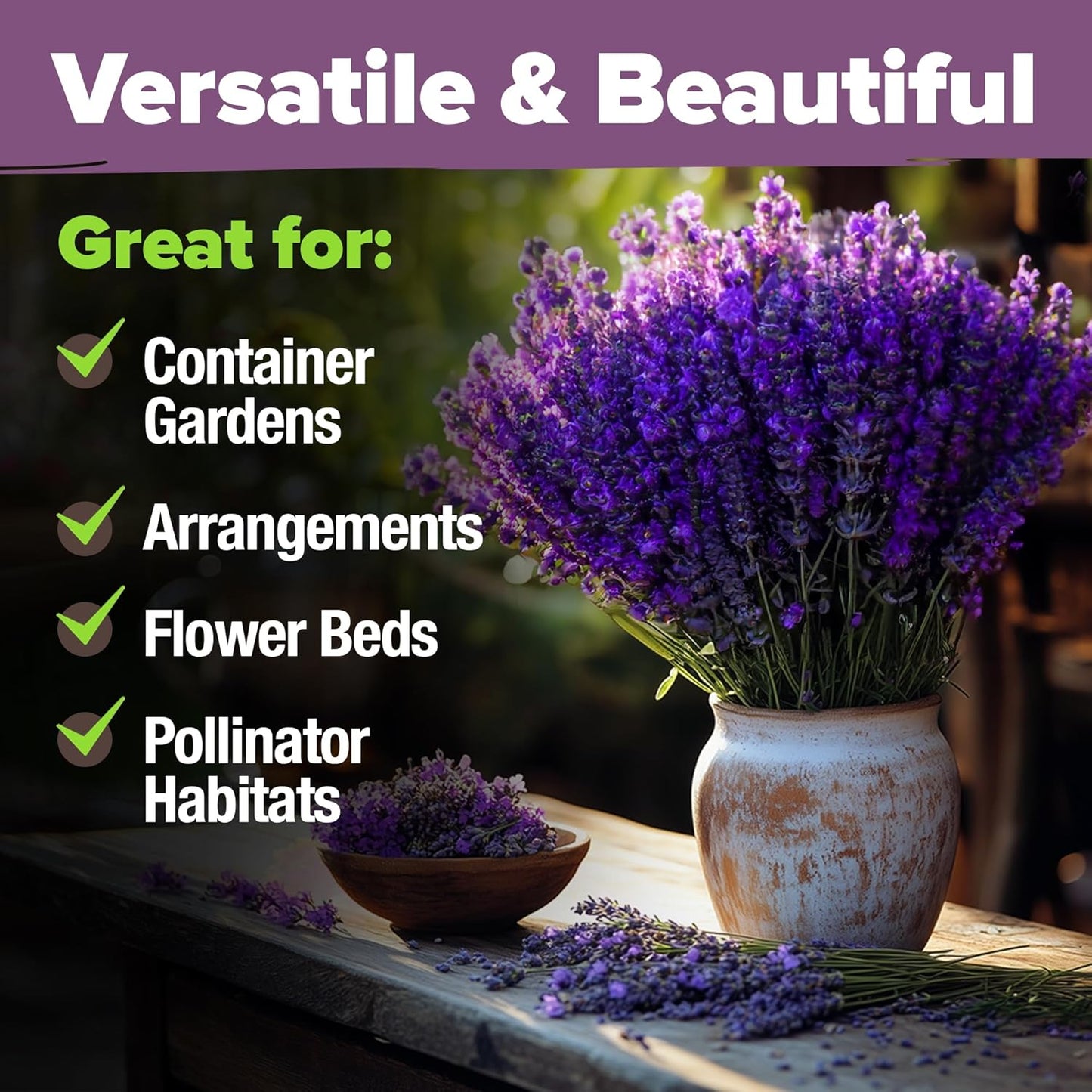 HOME GROWN 𝗨𝗦𝗔 𝗣𝗥𝗘𝗠𝗜𝗨𝗠 English Lavender Seeds 1,500+ 𝗡𝗢𝗡-𝗚𝗠𝗢 Wildflower Seed for Planting Indoor/Outdoor, High Germination, Plant Flower Seeds (Lavandula antustifolia)