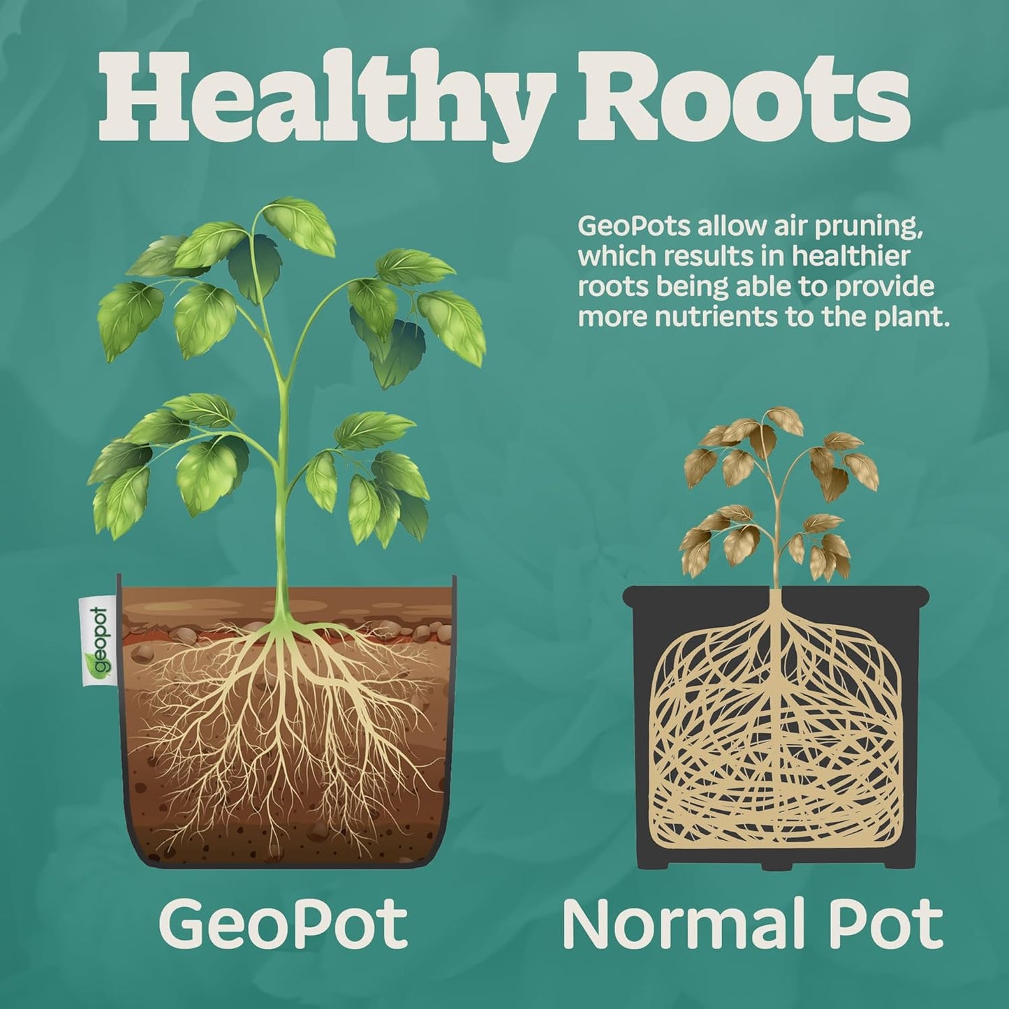 10 Gallon Fabric Grow Bags with Handles for Vegetables, Houseplants, Herbs & Flowers |5-Pack| Fabric Pots for Outdoors and Indoors, Aerated Fabric Grow Bags