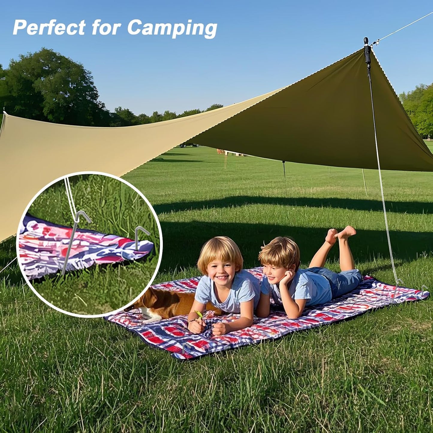 AAGUT 8 Pack Metal Camping Tent Stakes 9 Inch Yard Stakes for Inflatables Heavy Duty Tent Pegs Steel Hooked Ground Stakes for Outdoor Christmas Decorations, Garden Edging Tarp Stakes for Ground