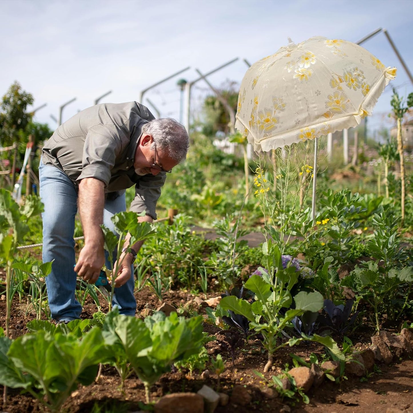 TIMSO Adjustable 3 Pack Plant Shade Umbrella for Outdoor Garden - Sun Protection Cloth & Umbrella for Plants, Potted Plants, and Garden Beds