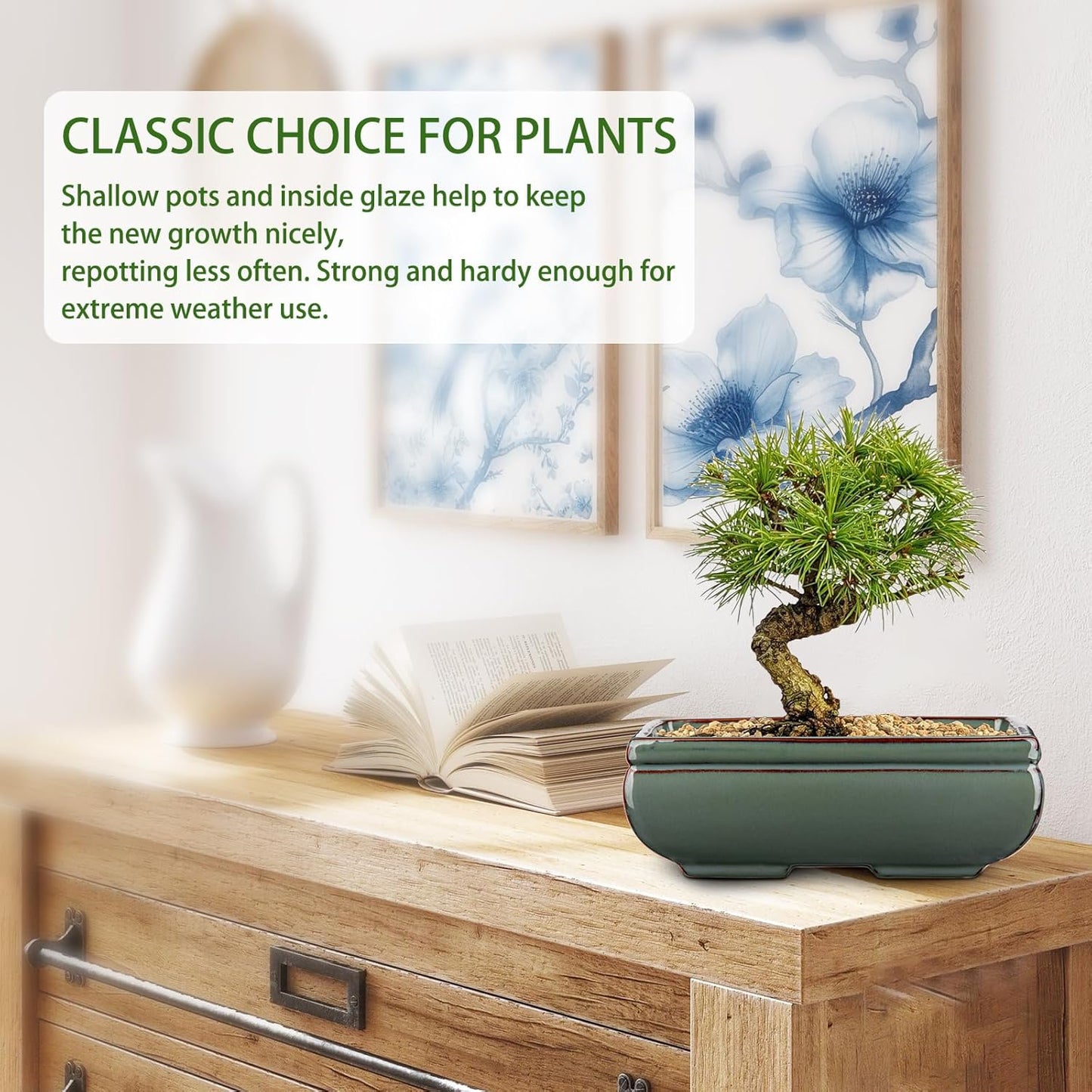 Ceramic Bonsai Pots with Drainage Hole Set of 2, Green Glazed Bonsai Planters for Indoor/Outdoor Use, Rectangular Shallow Bonzai Tree Pot for Succulent, Orchids, Cacti, Home, Patio, Garden, 8.7"x5.9"