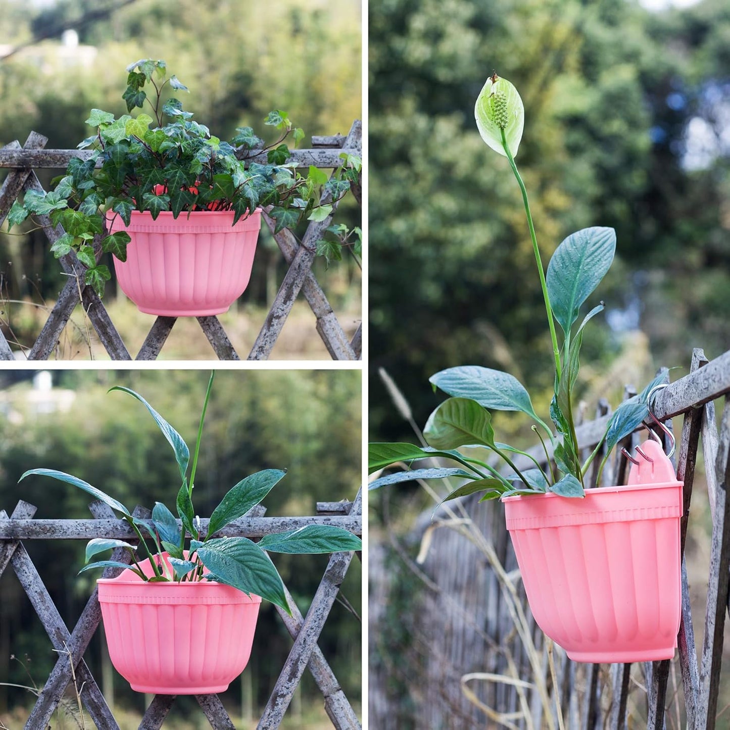 ORIMERC 6 Pcs Colorful Resin Wall Hanging Planter Pot Vertical Garden Living Wall Mount Window Hang Indoor Outdoor for Kitchen Herb Balcony Railing Shelf Fence Bedroom Trellis Décor