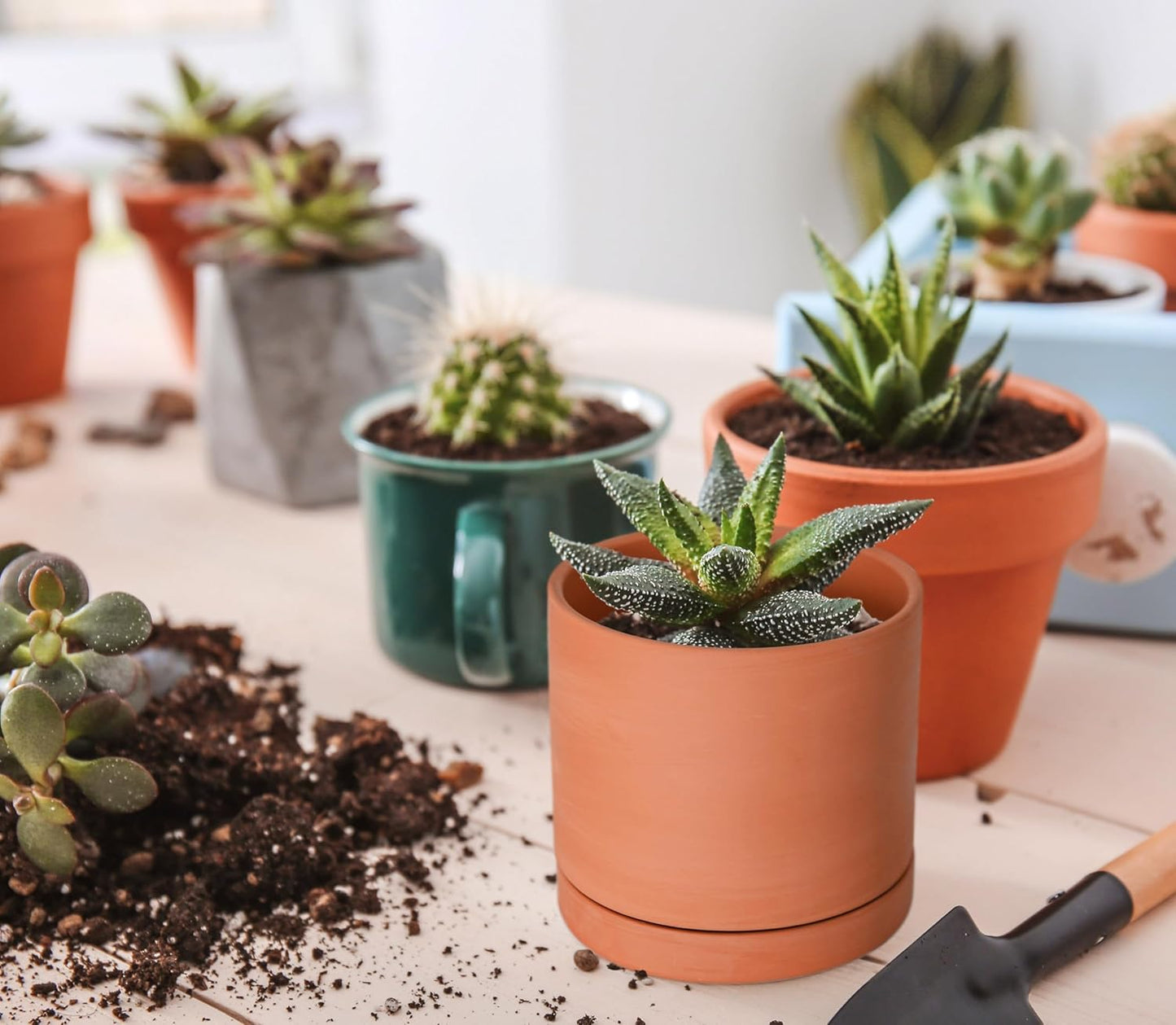 D'vine Dev X-Small 4 Inch Terracotta Plant Pot with Drainage Hole and Saucer, Round Cylinder Planter Pot for Indoor Plants, Set of 2, 40-X-B-1